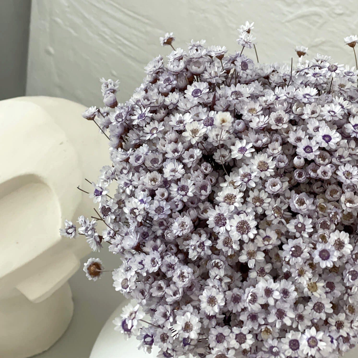 Trockenblume Glixia: Farbenprächtige Trockenblumen für ein kreative Dekoration, LYKKE & You, Trockenblume