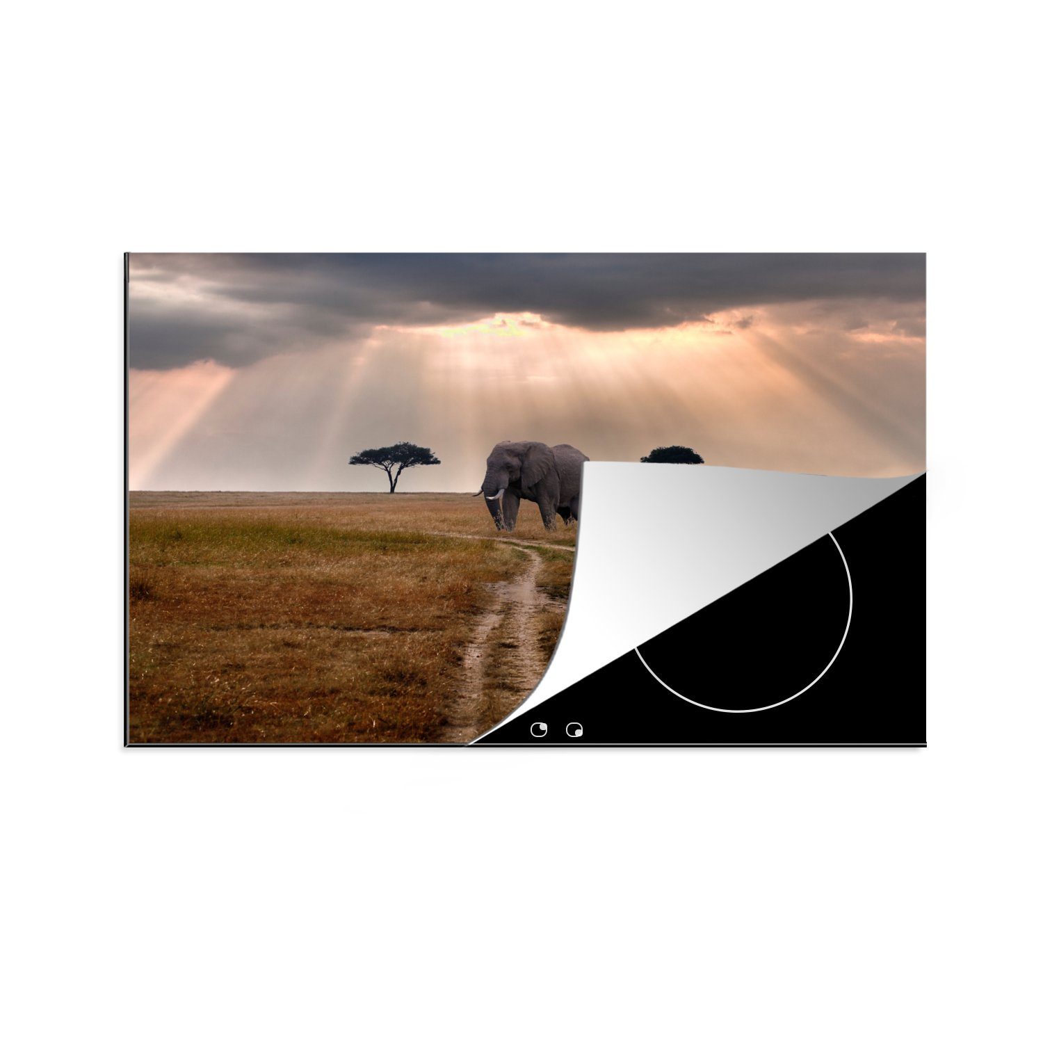 MuchoWow Herdblende-/Abdeckplatte Elefant - Tiere - Wiese - Sonne, Vinyl, (1 tlg), 81x52 cm, Induktionskochfeld Schutz für die küche, Ceranfeldabdeckung