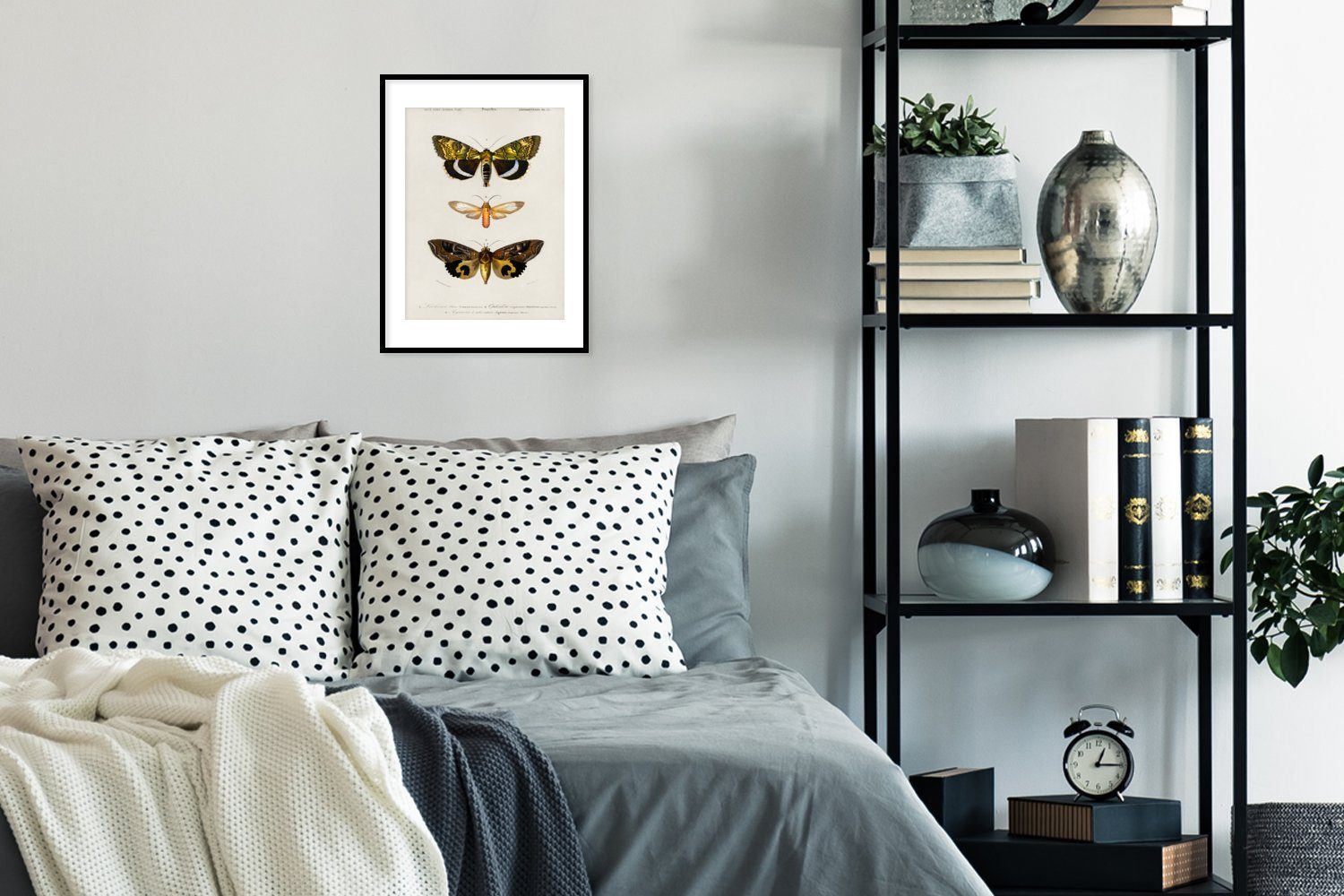 MuchoWow Poster Schmetterling - Vintage - Insekten, (1 St), mit Rahmen, Kunstdruck, Gerahmtes Poster, Schwarzem Bilderrahmen