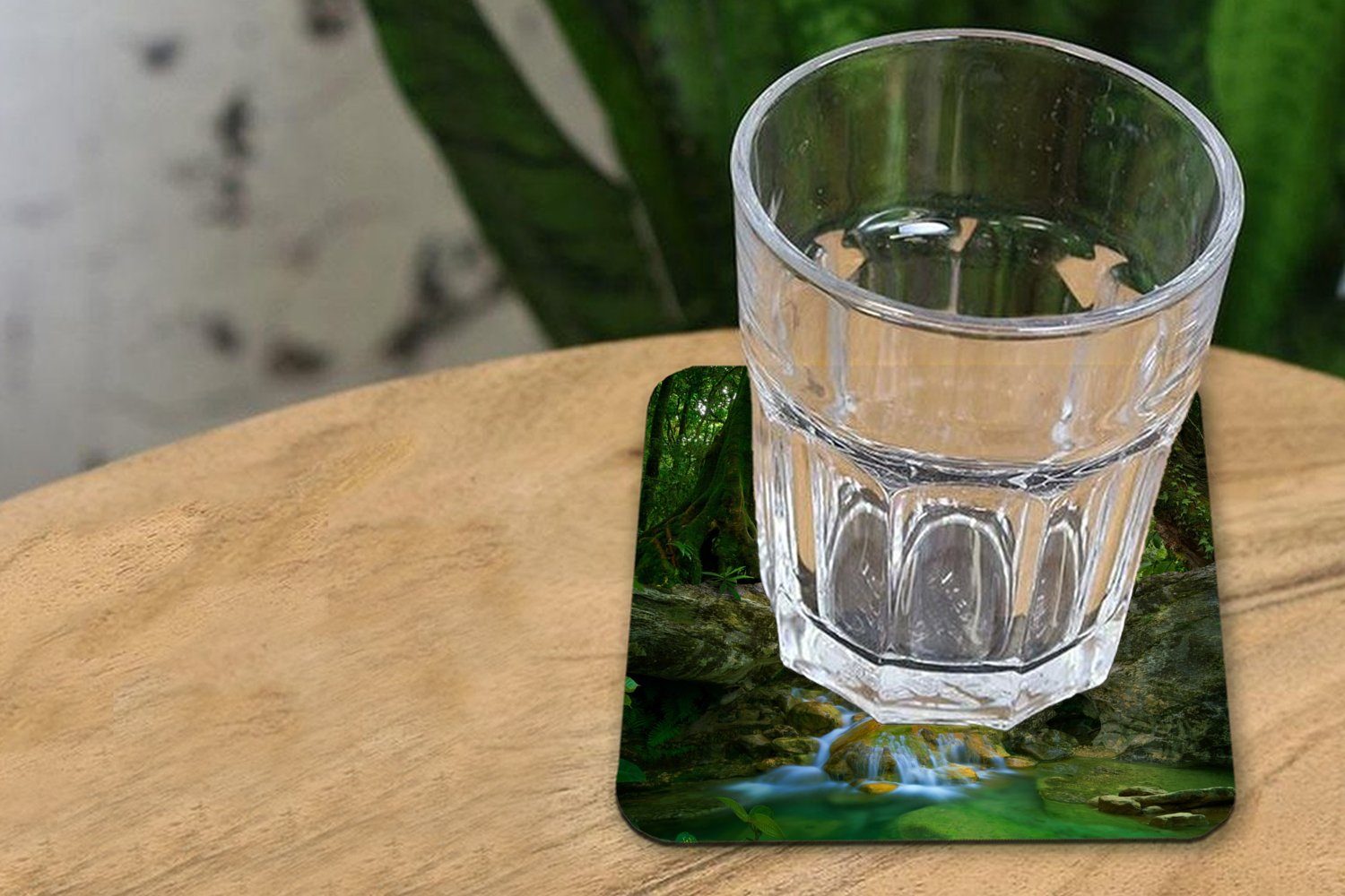 MuchoWow - Tischuntersetzer, Steine für Tasse Untersetzer, Glasuntersetzer, Dschungel 6-tlg., Korkuntersetzer, Natur Pflanzen, - - - Glasuntersetzer Gläser, Zubehör Wasser