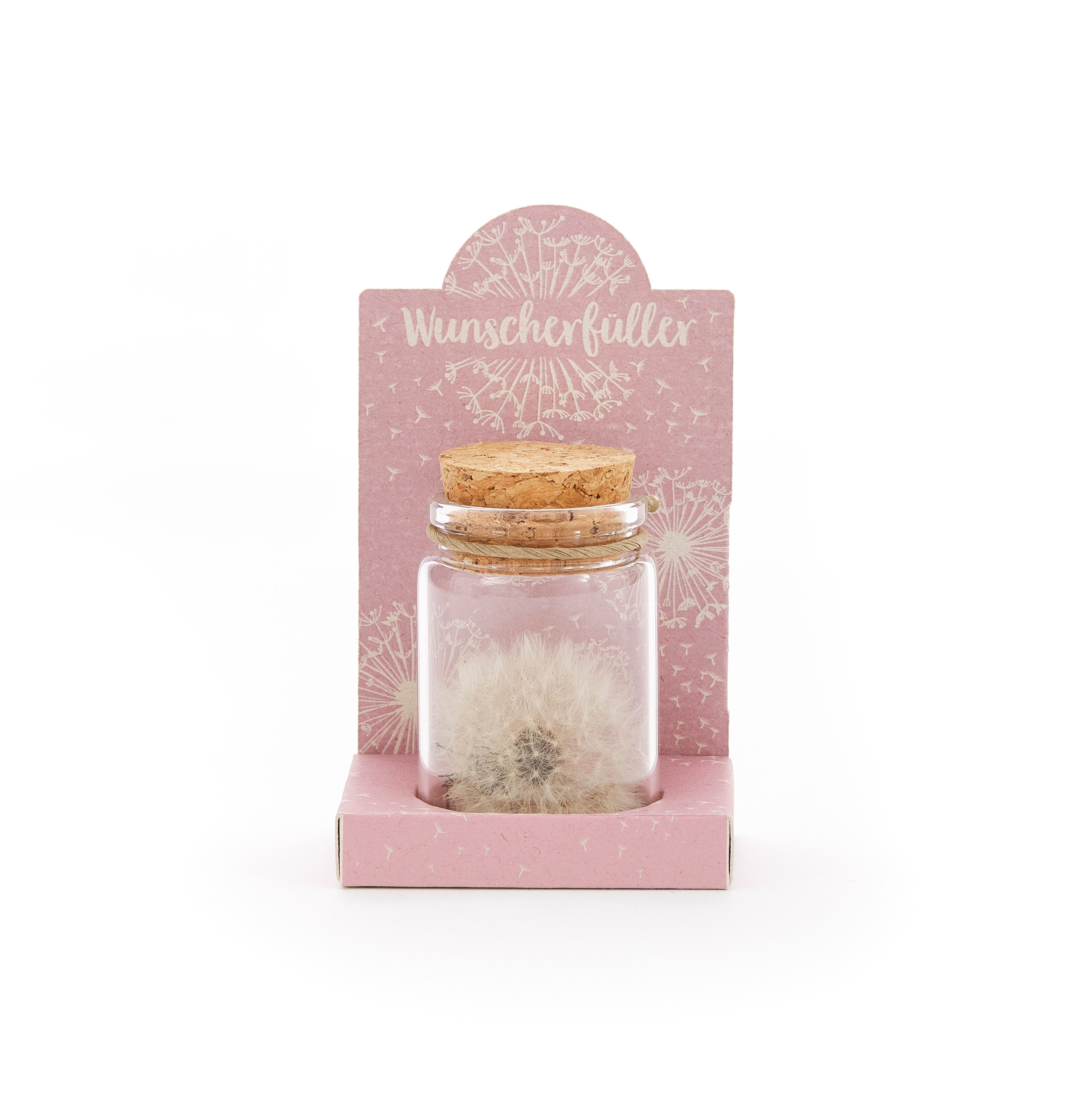 Trockenblume Echte Pusteblume, Toller Wunscherfüller zur Hochzeit, Geburtst günstig online kaufen