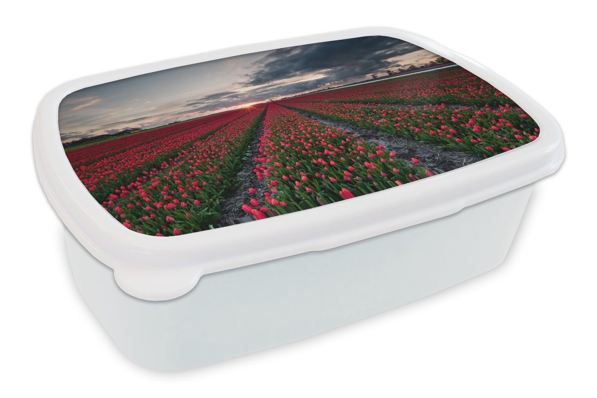 MuchoWow Lunchbox Ein rotes Tulpenfeld im Nordosten der Niederlande, Kunststoff, (2-tlg), Brotbox für Kinder und Erwachsene, Brotdose, für Jungs und Mädchen weiß