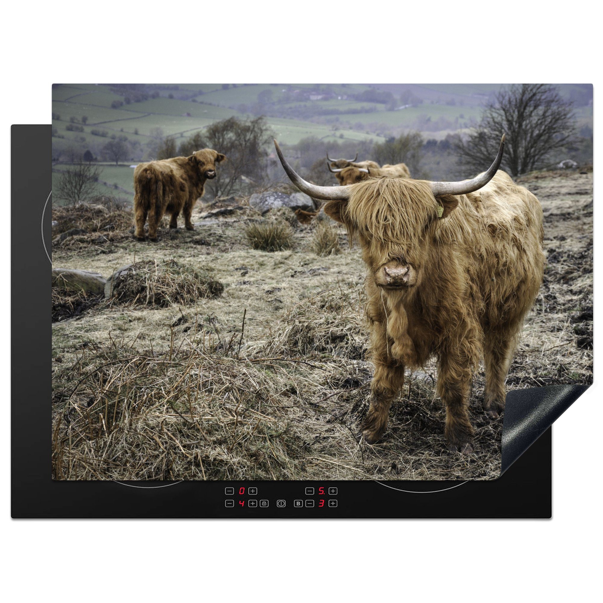 MuchoWow Herdblende-/Abdeckplatte Schottische Highlander - Berg - Kühe, Vinyl, (1 tlg), 70x52 cm, Mobile Arbeitsfläche nutzbar, Ceranfeldabdeckung