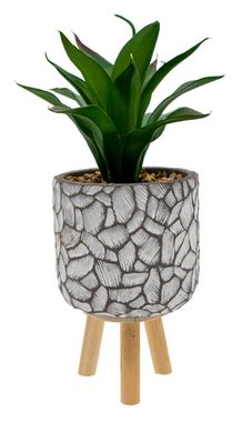 Kunstpflanze 3er Set Pasadena Pflanztopf mit Kunstpflanze Sukkulente, Centi, Höhe 32 cm, Zementtopf mit Holzbeinen und Kunstpflanze