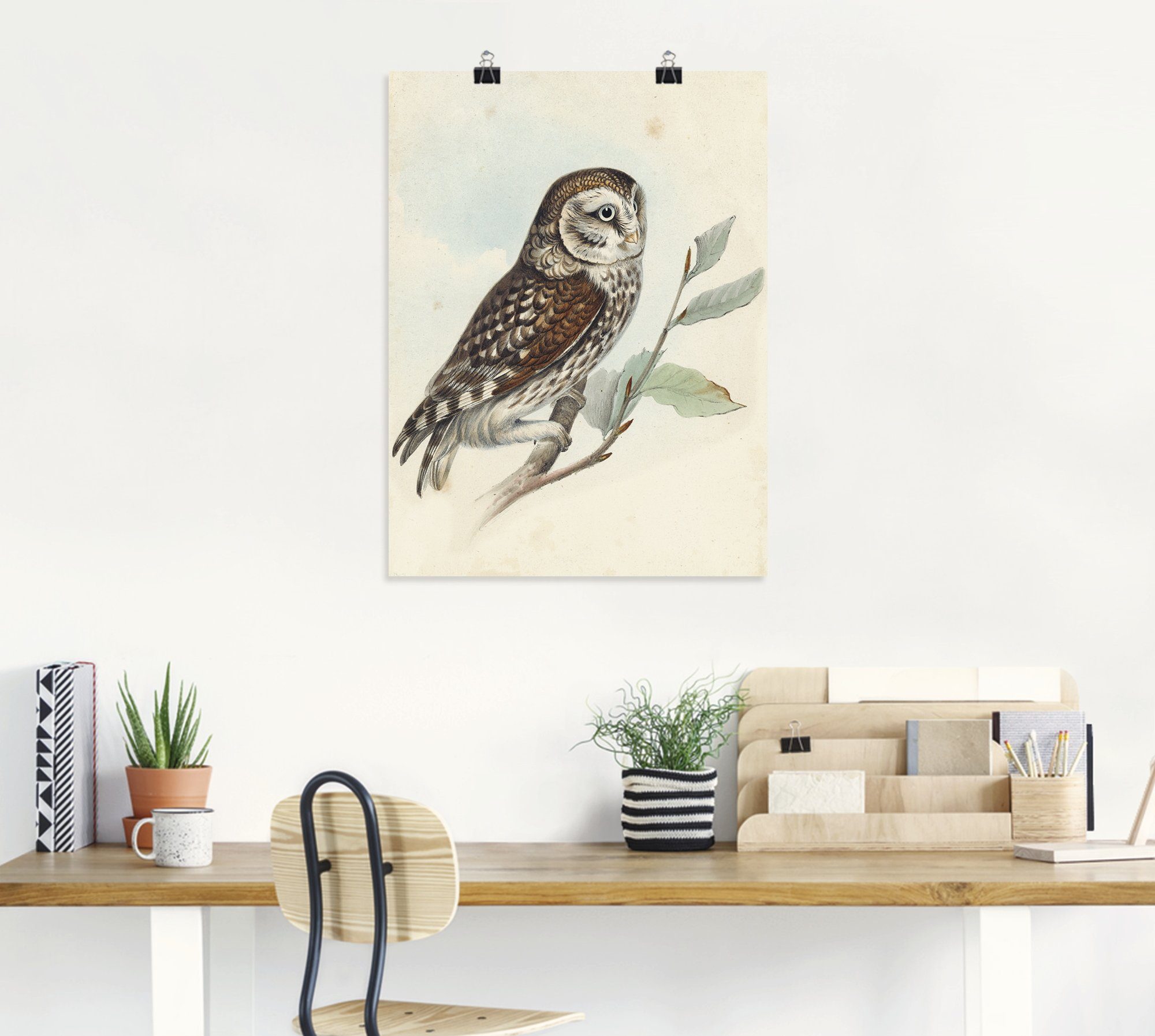 Artland Wandaufkleber in versch. St), Leinwandbild, Wandbild Vögel Eule, Größen Kleine oder (1 Poster als Alubild,