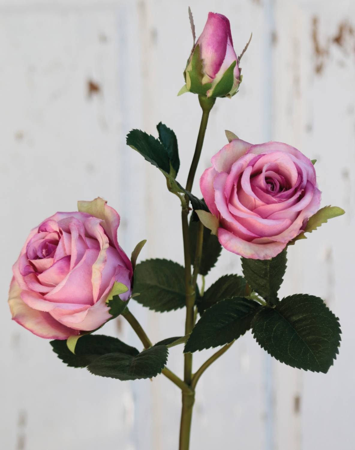 Kunstzweig Textil Rose Delilah, rosa, 55cm, Ø6cm Rose, artplants, Höhe 55.0 cm