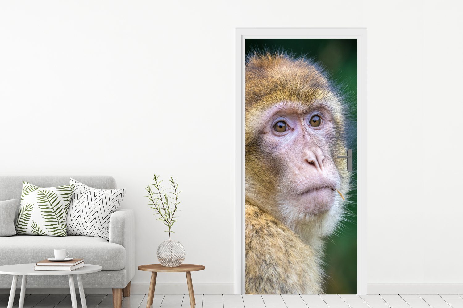 MuchoWow Türtapete Affen - Tiere für - (1 Fototapete - Türaufkleber, Natur, Porträt 75x205 Matt, St), cm bedruckt, Tür