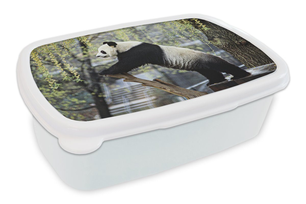 MuchoWow Lunchbox Panda - Fluss - Baum, Kunststoff, (2-tlg), Brotbox für Kinder und Erwachsene, Brotdose, für Jungs und Mädchen weiß