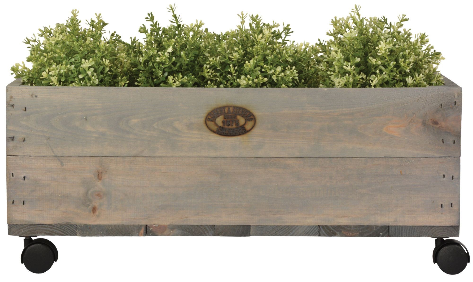 Esschert Design BV Blumenkasten (1 Stück), Pflanzkasten auf Rollen aus