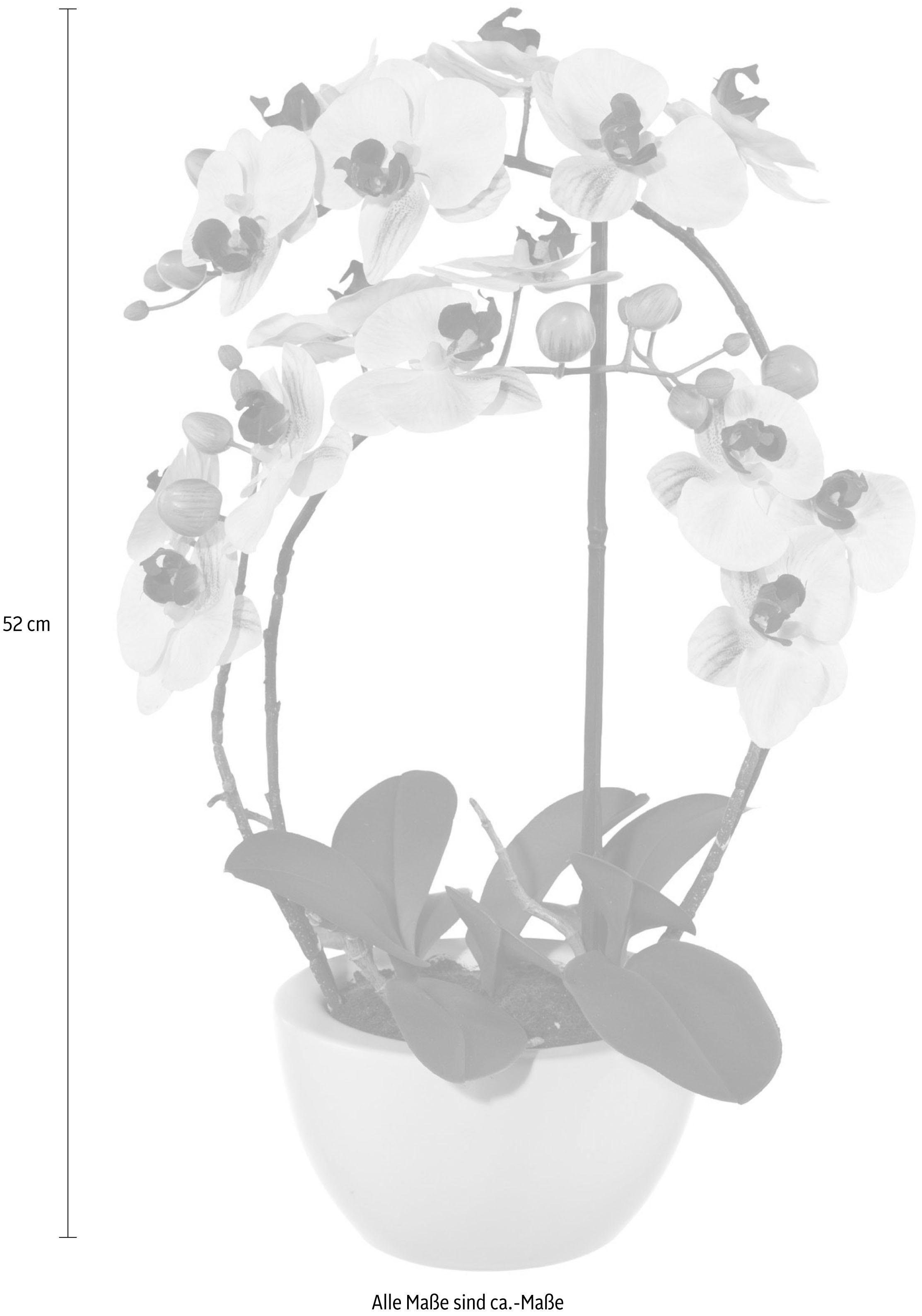 Kunstpflanze Phalaenopsis Orchidee, Creativ green, Höhe 52 cm günstig online kaufen