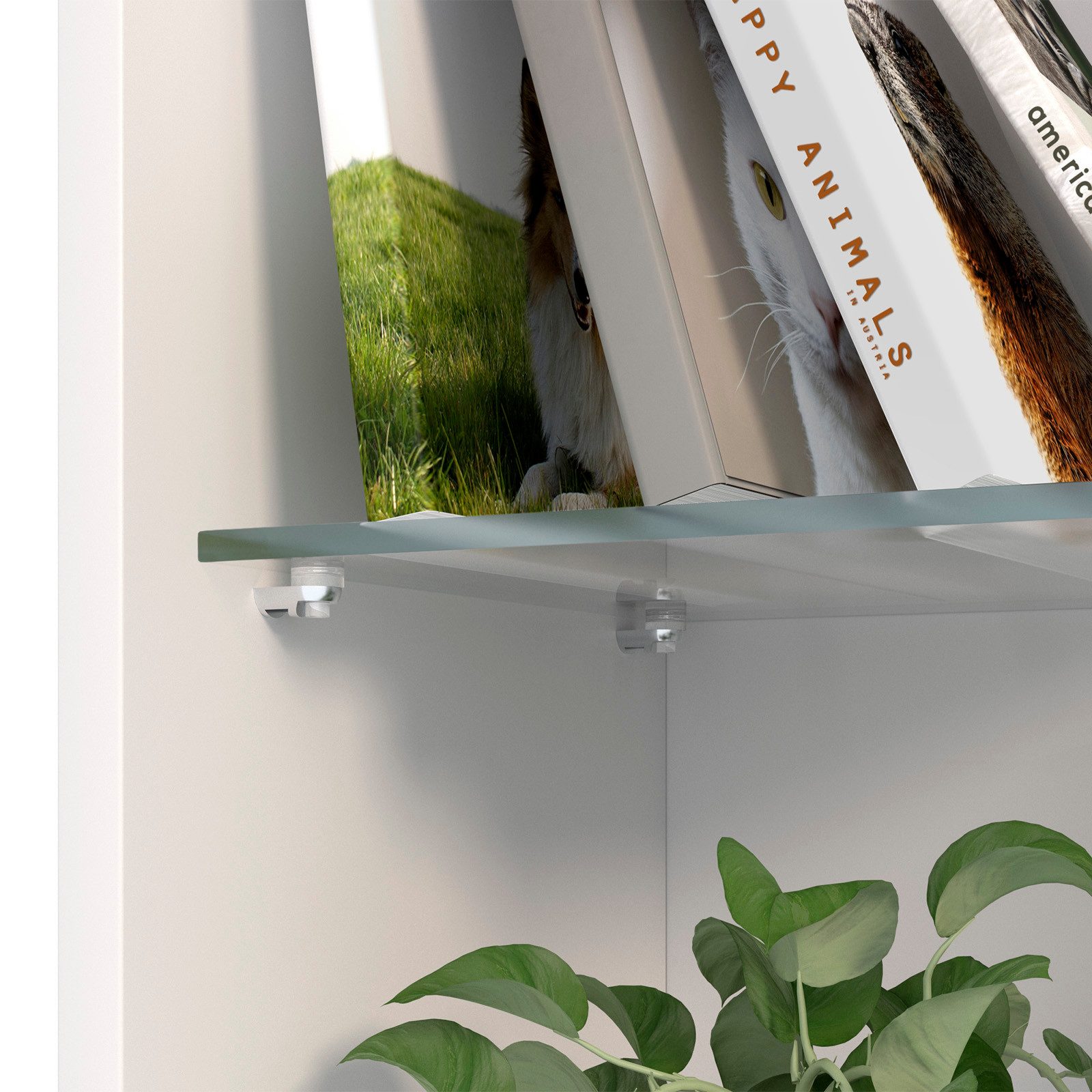 SO-TECH® Möbelbeschlag Fach-Bodenträger Regalstifte Stiftdurchmesser 3 günstig online kaufen