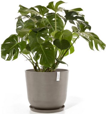 ECOPOTS Blumentopf Oslo 55 + Wassersystem Taupe, für innen und außen: frostsicher, bruchsicher und lichtbeständig