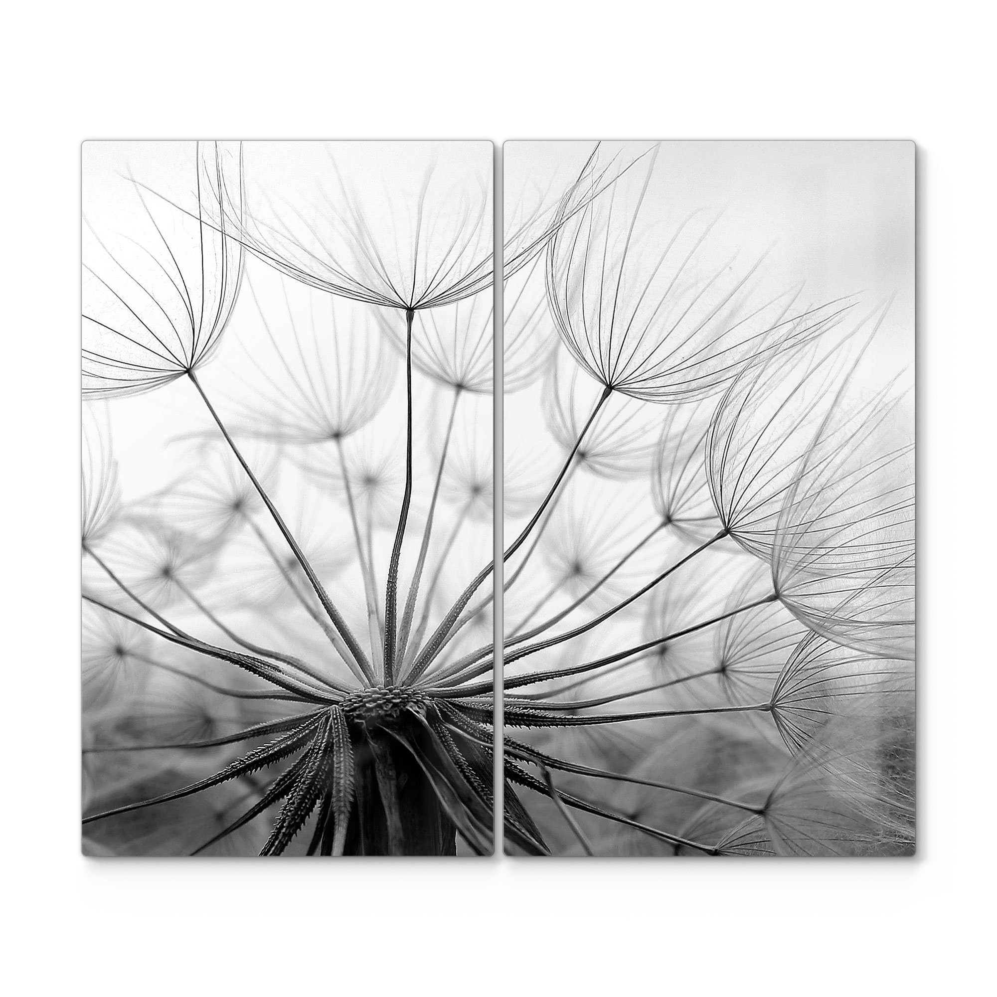 DEQORI Herdblende-/Abdeckplatte 'Pusteblume Nahaufnahme', Glas, (2 tlg), Herdabdeckplatte Ceranfeld Herd Platte Abdeckung Glasplatte