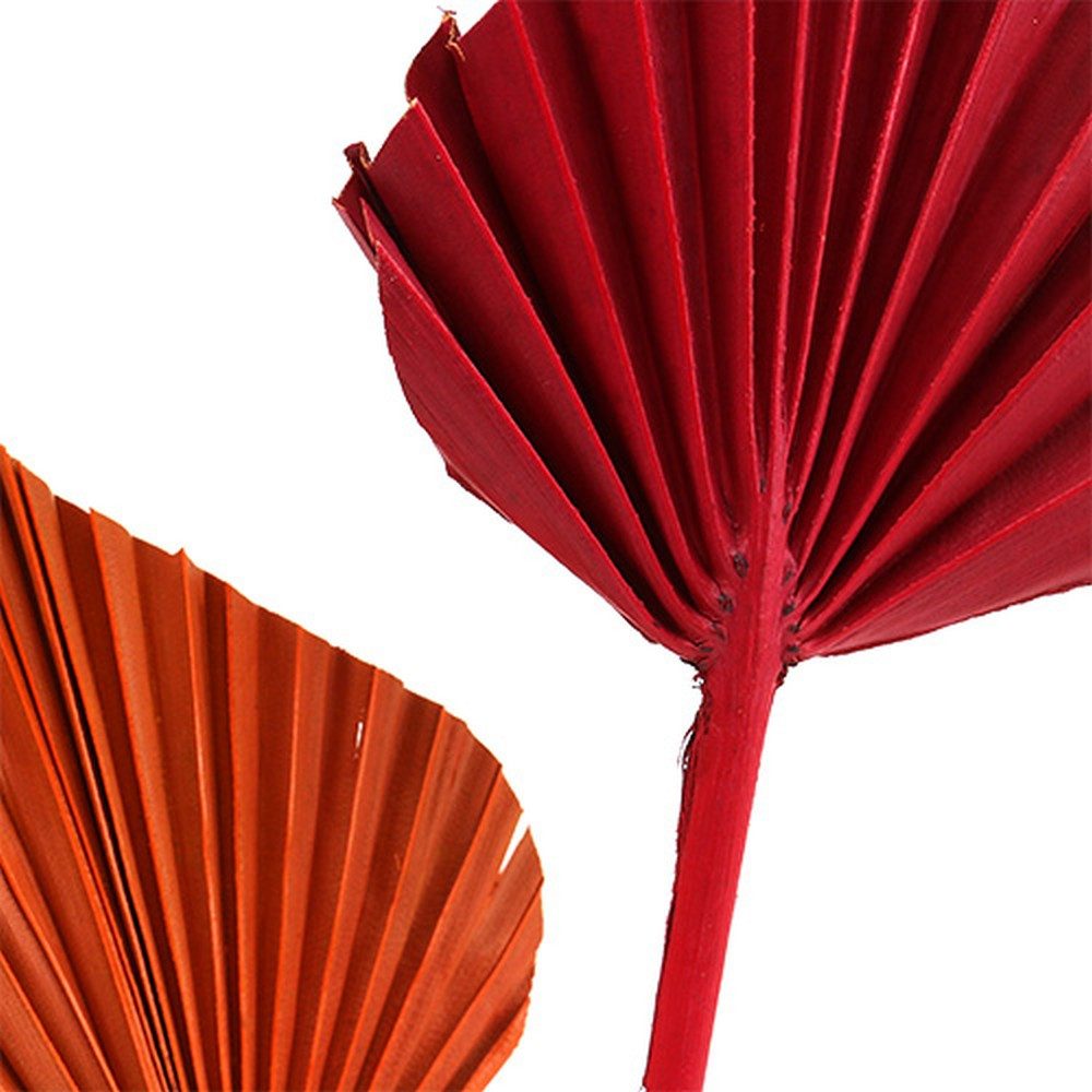 Trockenblume Palmspear Deko-Speer Rot/Orange für Trauerdekoration, 100 Stück, Florists Products, Höhe 1 cm