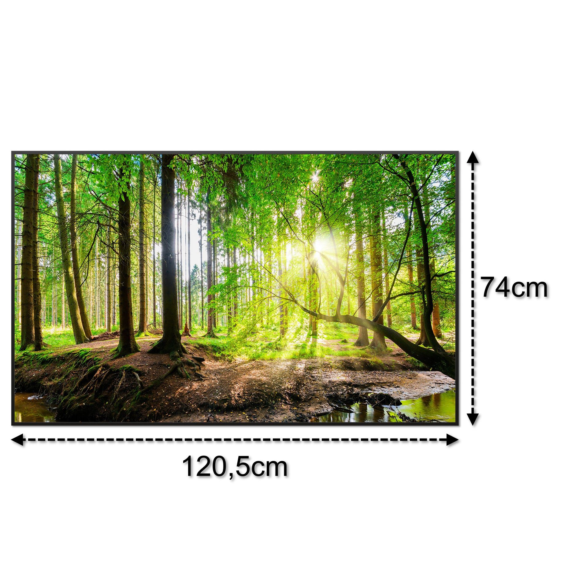 STEINFELD Heizsysteme Infrarotheizung Bild 900W, 120x74cm, Made in Germany, 7 Jahre Garantie, mit Thermostat, Schwarz