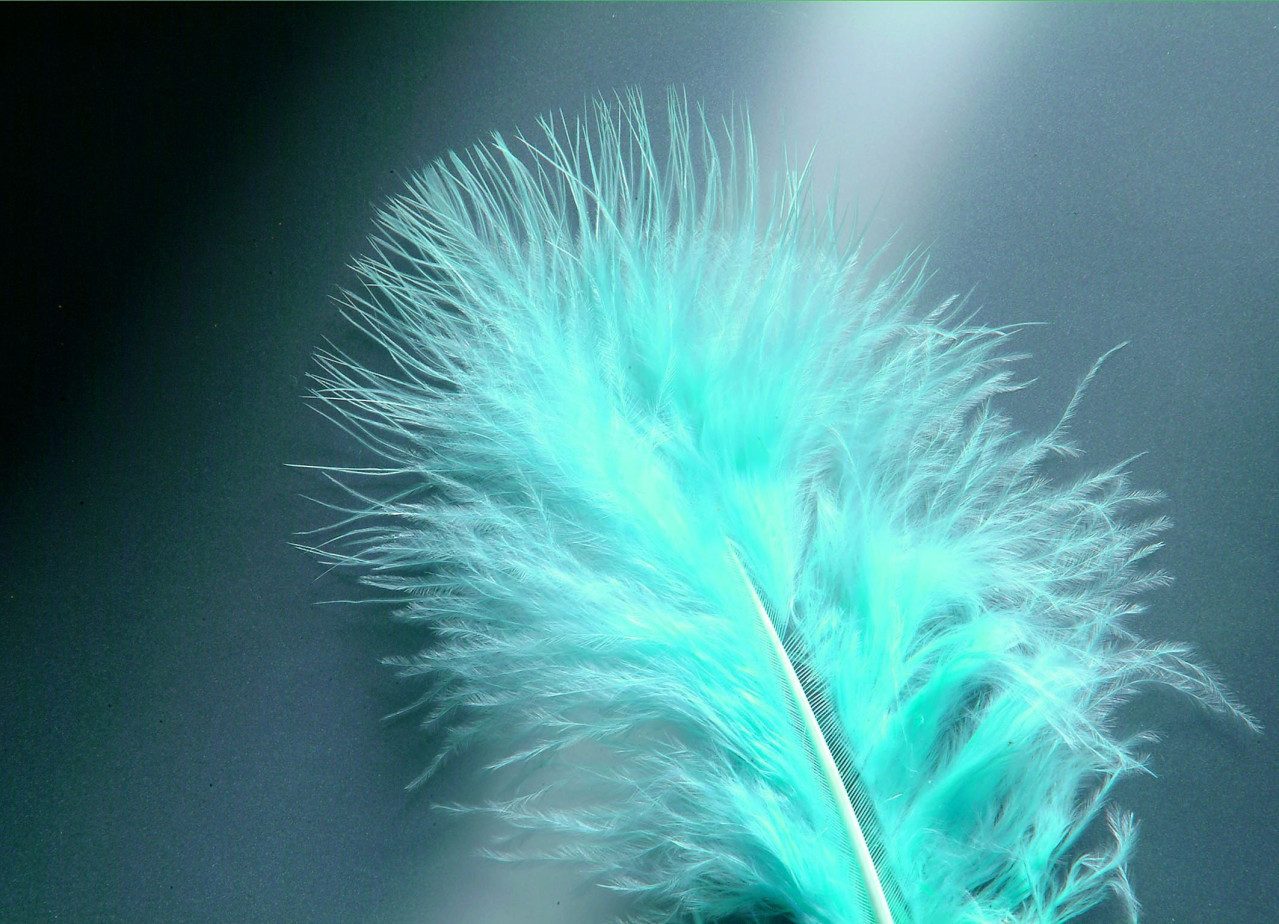 Bastelnaturmaterial Glorex Marabufedern hellblau ca. 15 Stück