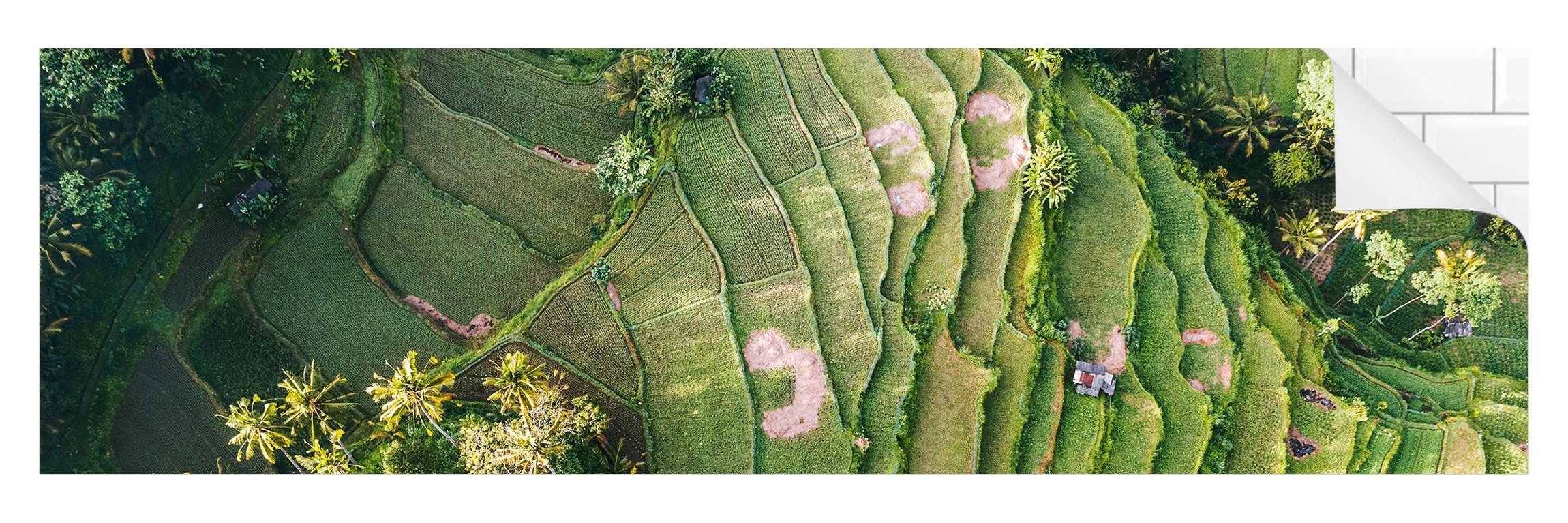 Bilderdepot24 Badrückwand grün fugenlose Wandverkleidung Bad Tropisch, (Hartfolie matt » Selbstklebend SMART 0,35 mm), wasserfestes Wandpaneel Grüne Terassen