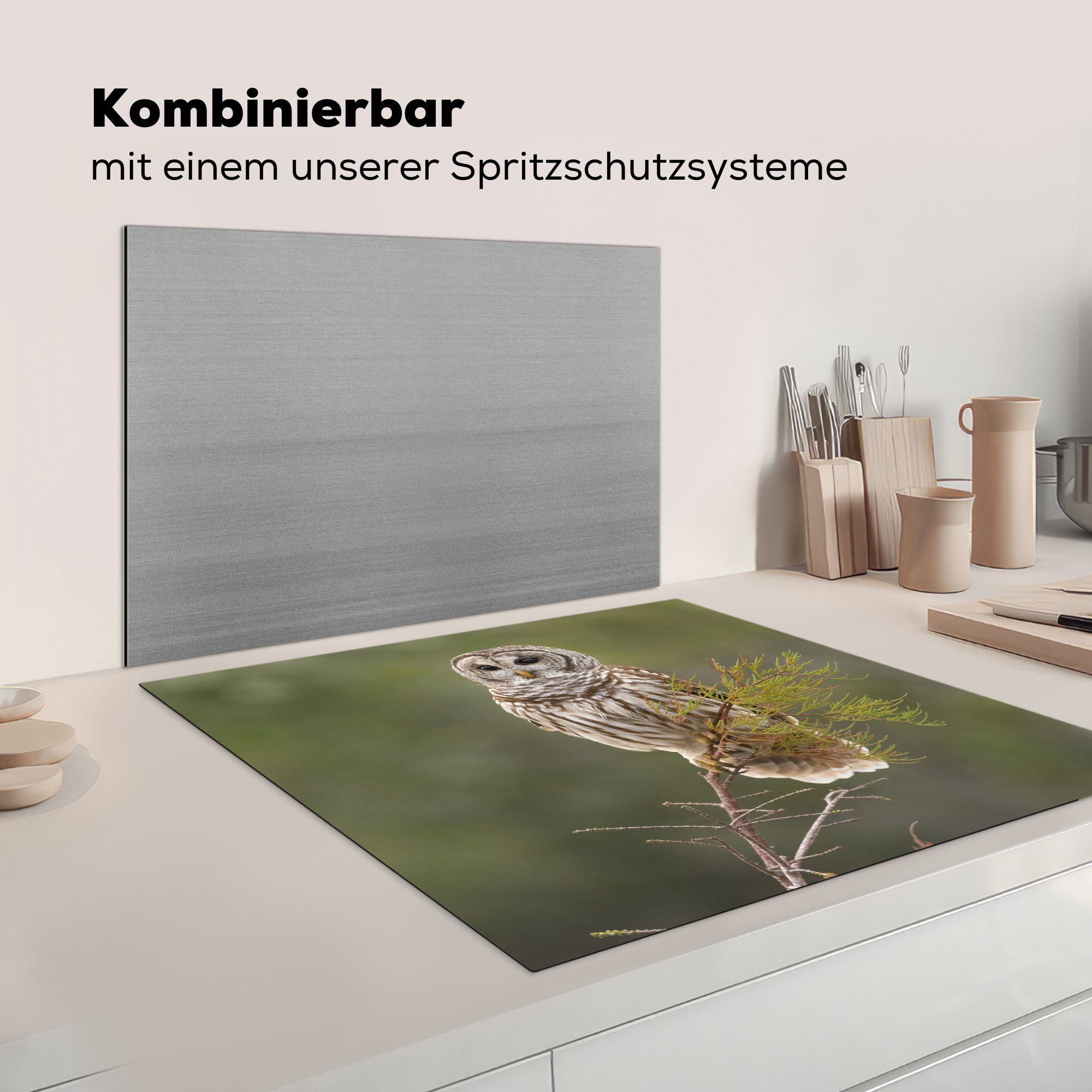 küche - tlg), (1 Zweig, cm, Ceranfeldabdeckung, für Arbeitsplatte Vogel Eule 78x78 Vinyl, Herdblende-/Abdeckplatte - MuchoWow