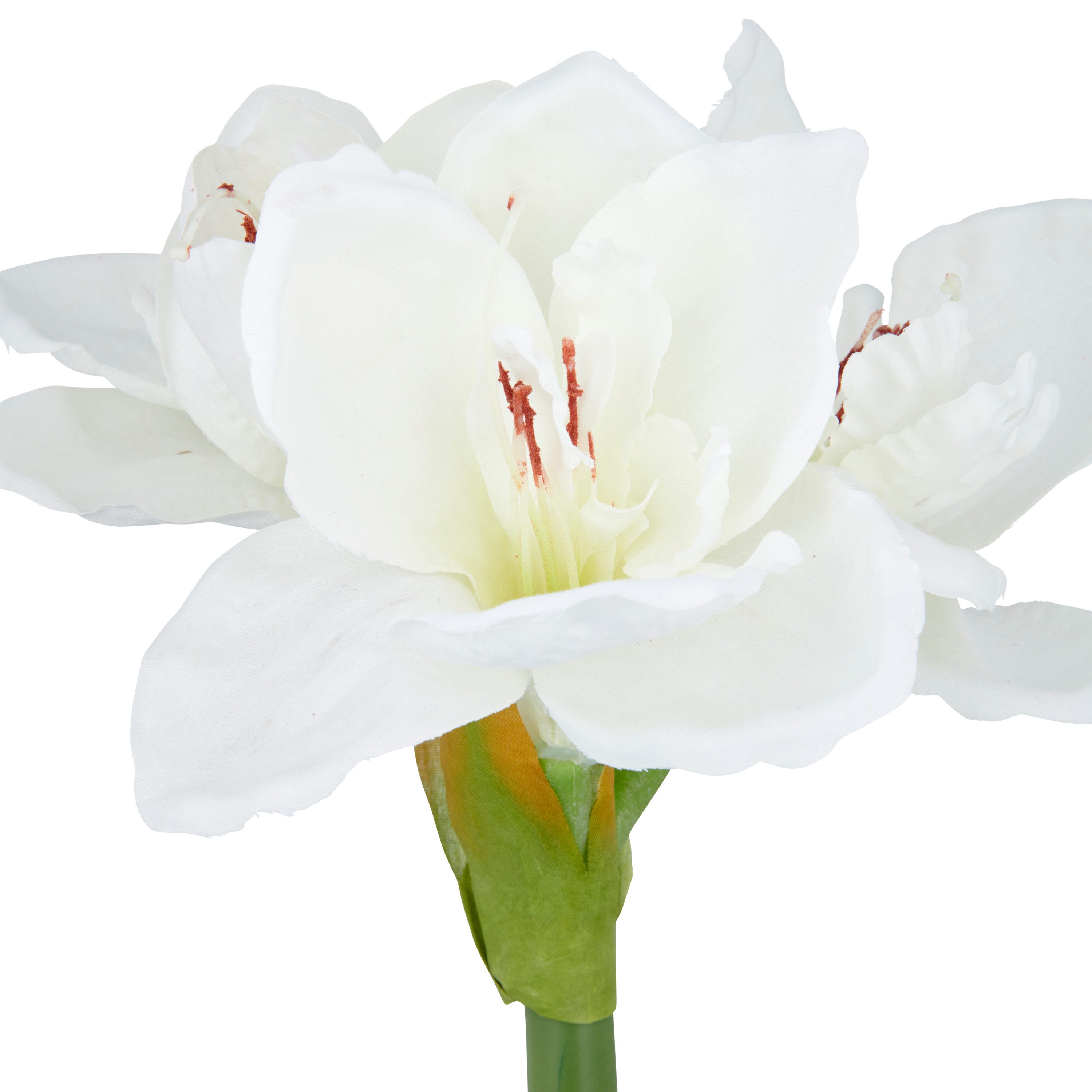 Kunstblume Amaryllis, Creativ green, Höhe 35 cm, mit traumhaft schöner Blüt günstig online kaufen