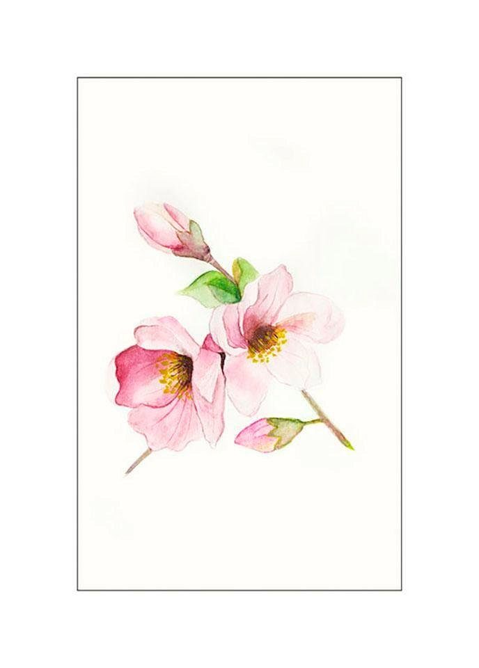 Komar Bild Magnolia Breathe, Blumen (1 St), Wandbild zur Dekoration - ohne Rahmen. € 14,70