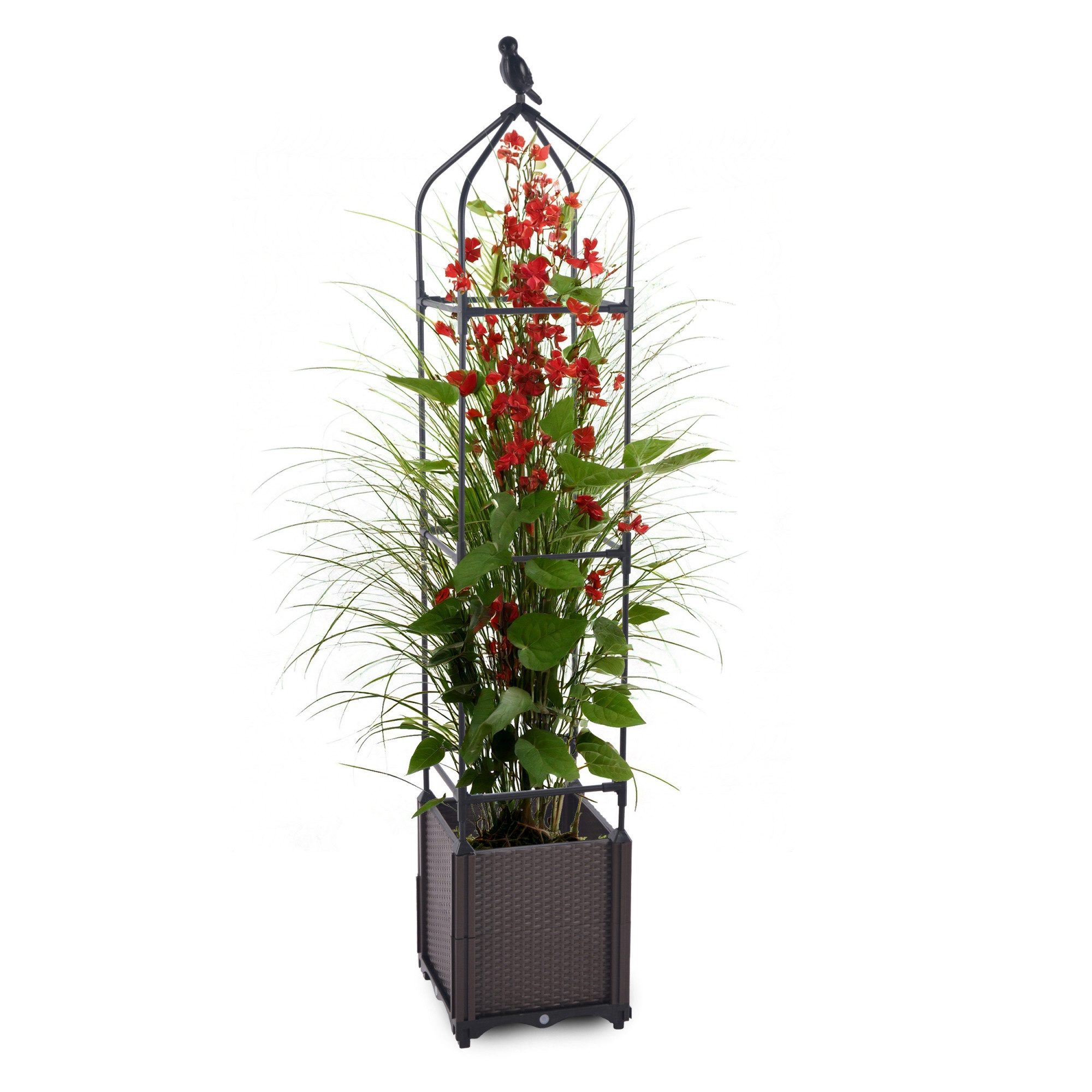 Gartenwelt Riegelsberger Blumenkasten mit Rankhilfe 3 Ebenen 30x30x160 cm für innen und außen