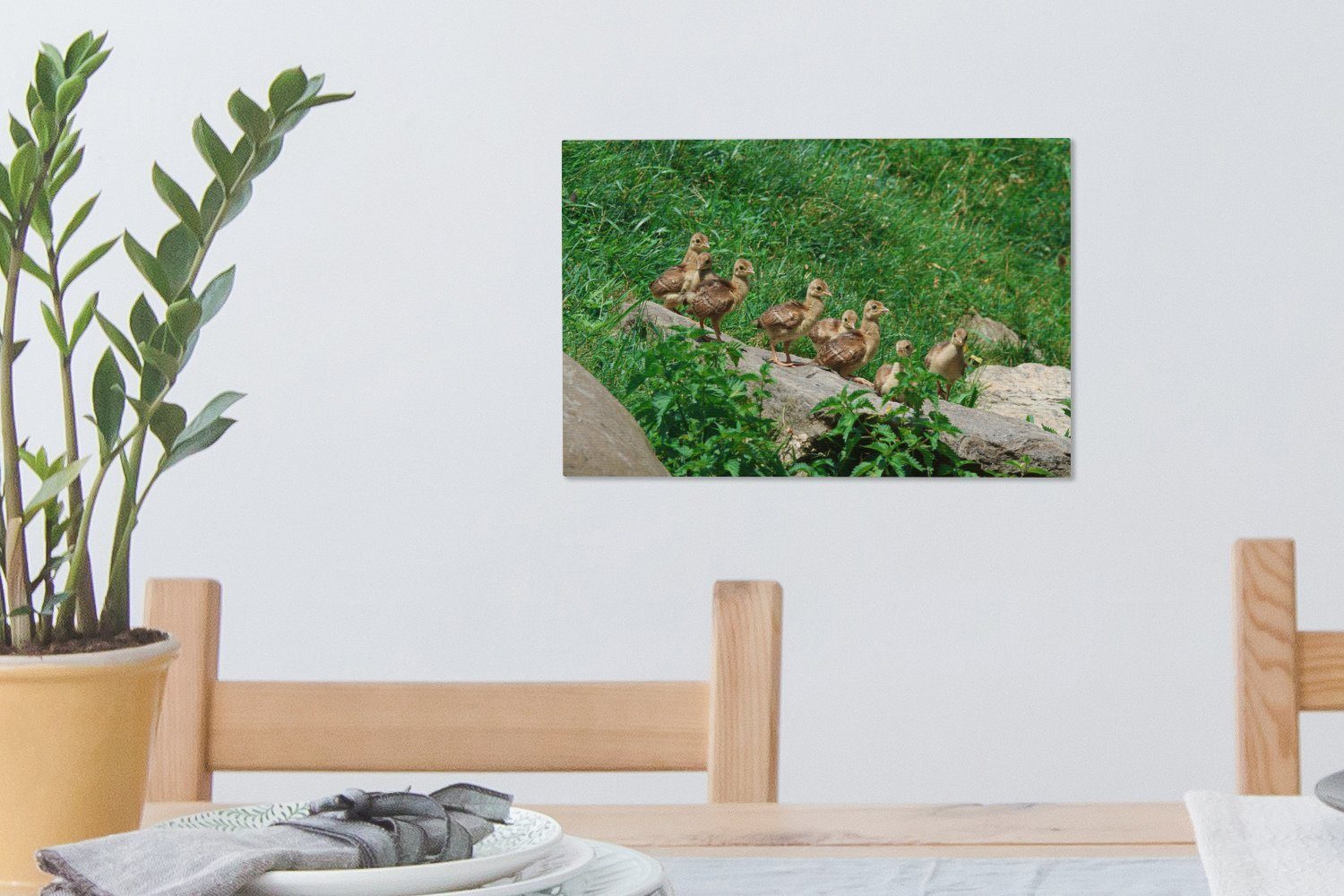 OneMillionCanvasses® Leinwandbild Pfau - Vögel Gras, Aufhängefertig, Wandbild Leinwandbilder, cm (1 - St), 30x20 Wanddeko
