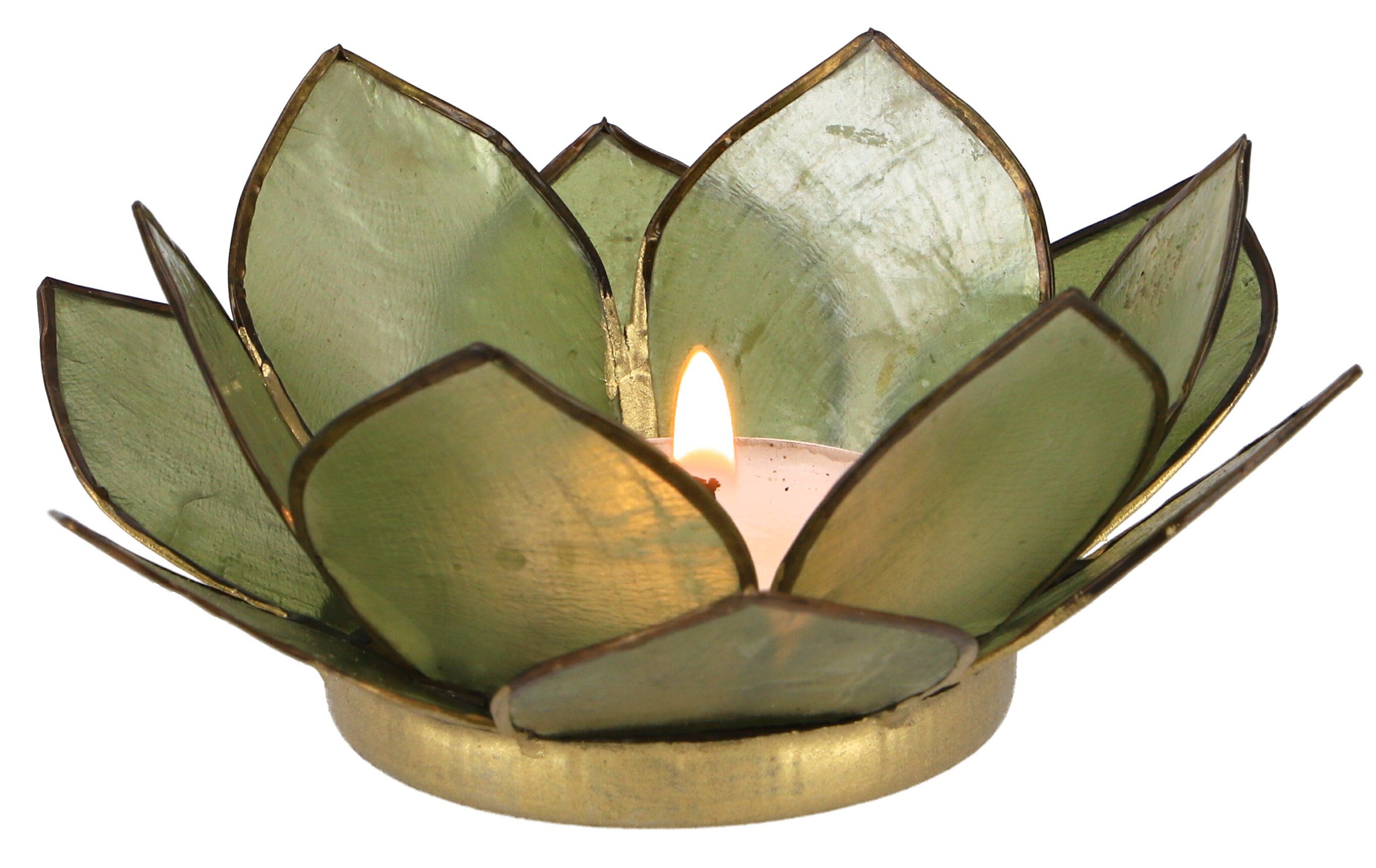 Guru-Shop Windlicht Lotus Teelicht Muschel 11*4 cm - olivgrün günstig online kaufen