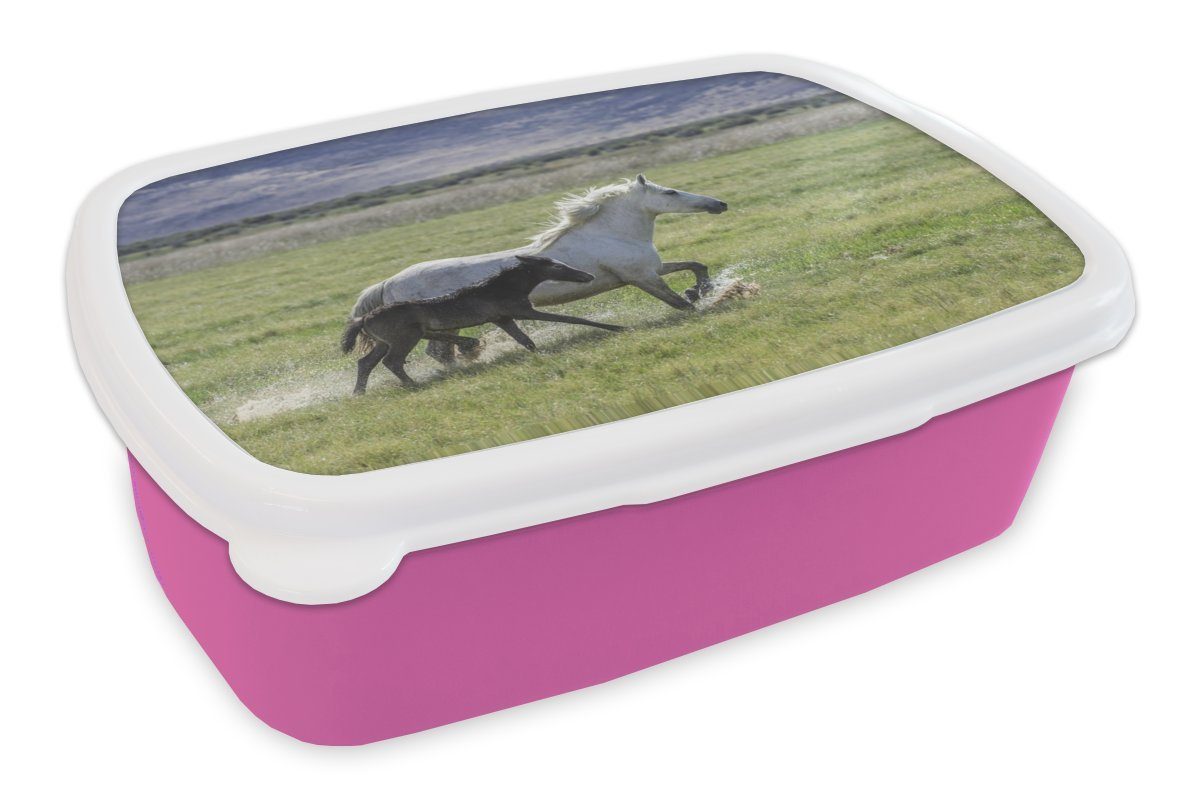 MuchoWow Lunchbox Pferde - Fohlen - Braun, Kunststoff, (2-tlg), Brotbox für Erwachsene, Brotdose Kinder, Snackbox, Mädchen, Kunststoff rosa