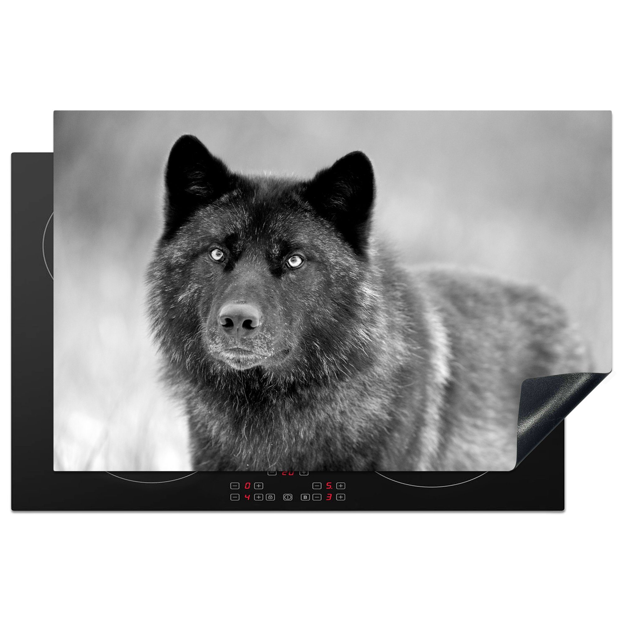 MuchoWow Herdblende-/Abdeckplatte Wolf - Nahaufnahme - Schwarz - Weiß, Vinyl, (1 tlg), 81x52 cm, Induktionskochfeld Schutz für die küche, Ceranfeldabdeckung