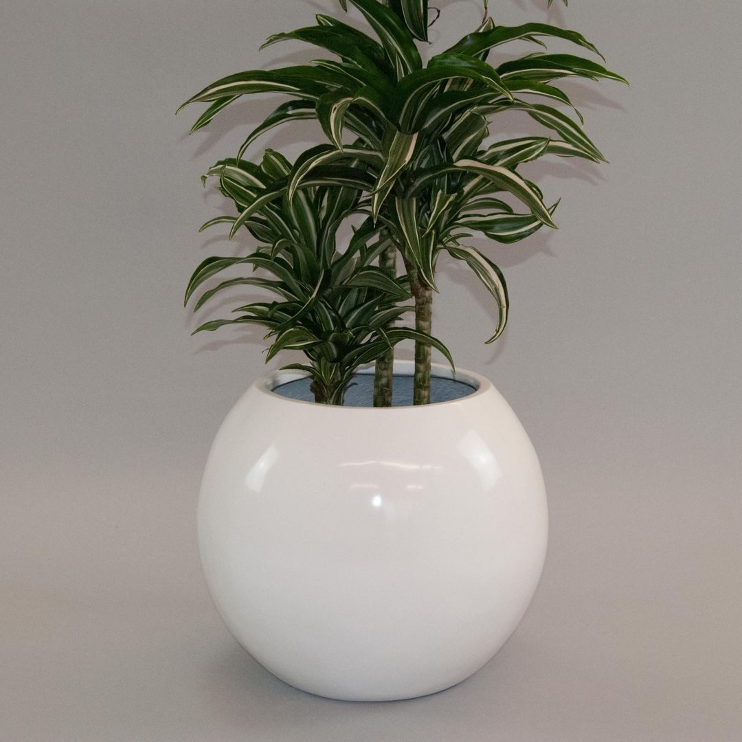 Elegant Einrichten Pflanzkübel Elegant Einrichten Pflanzkübel Fiberglas Bal günstig online kaufen