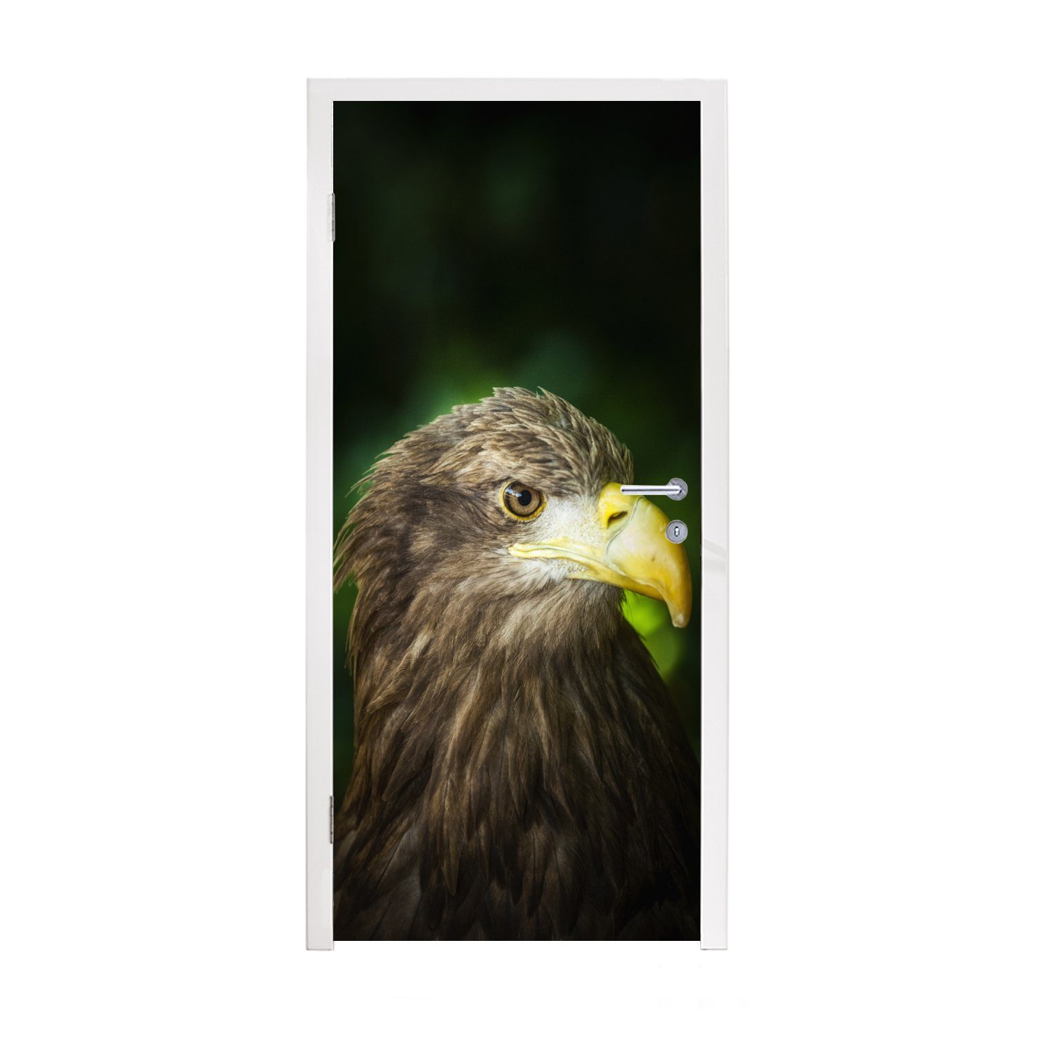 MuchoWow Türtapete Ein Seeadler schaut zur Seite, Matt, bedruckt, (1 St), Fototapete für Tür, Türaufkleber, 75x205 cm