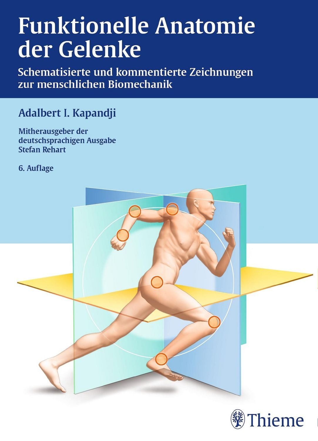 Funktionelle Anatomie Schematisierte und kommentierte Zeichnungen zur / diverse, Schematisierte und kommentierte Zeichnungen zur menschlichen Biomechanik