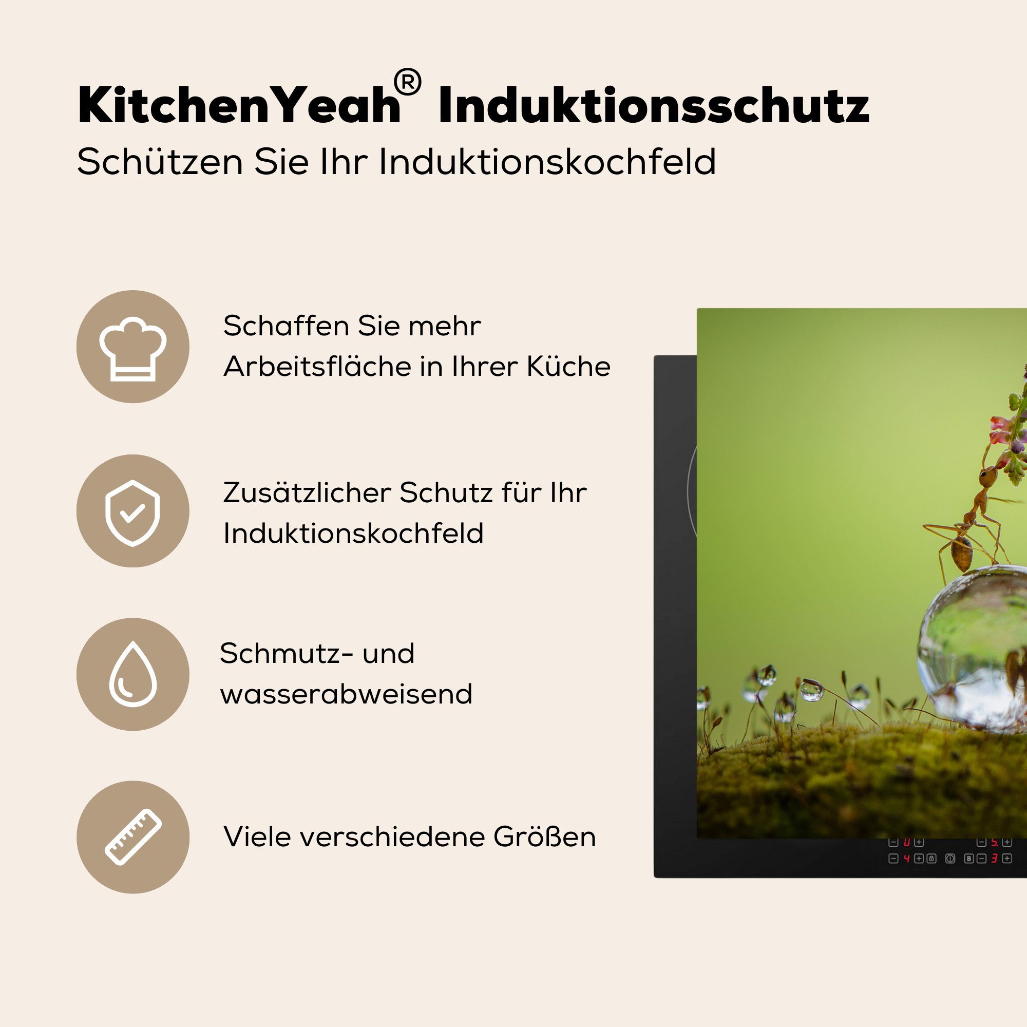 MuchoWow Herdblende-/Abdeckplatte Ameise sitzt auf küche, 81x52 cm, Induktionskochfeld die Vinyl, für (1 Schutz Wassertropfen, Ceranfeldabdeckung tlg)