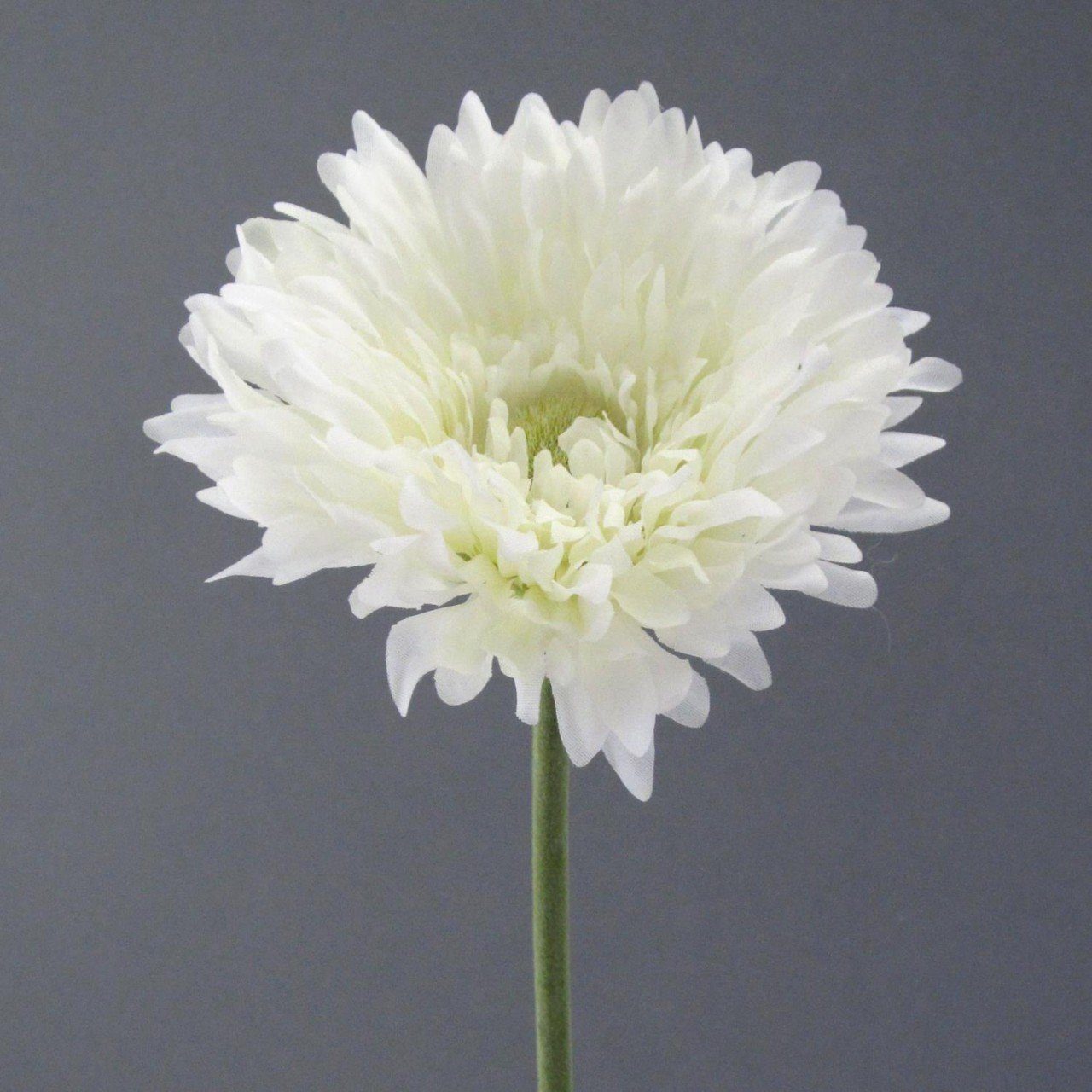Kunststoff Höhe Weiß H:60cm Gasper, D:10cm cm, Kunstpflanze, 60