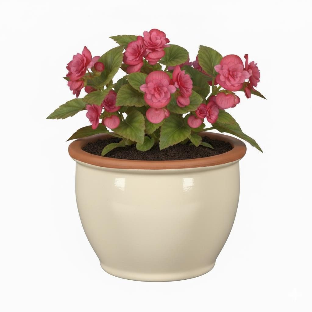 Teramico Pflanzkübel Blumentopf Pflanzgefäß aus Keramik Modell "Roma" 30cm günstig online kaufen