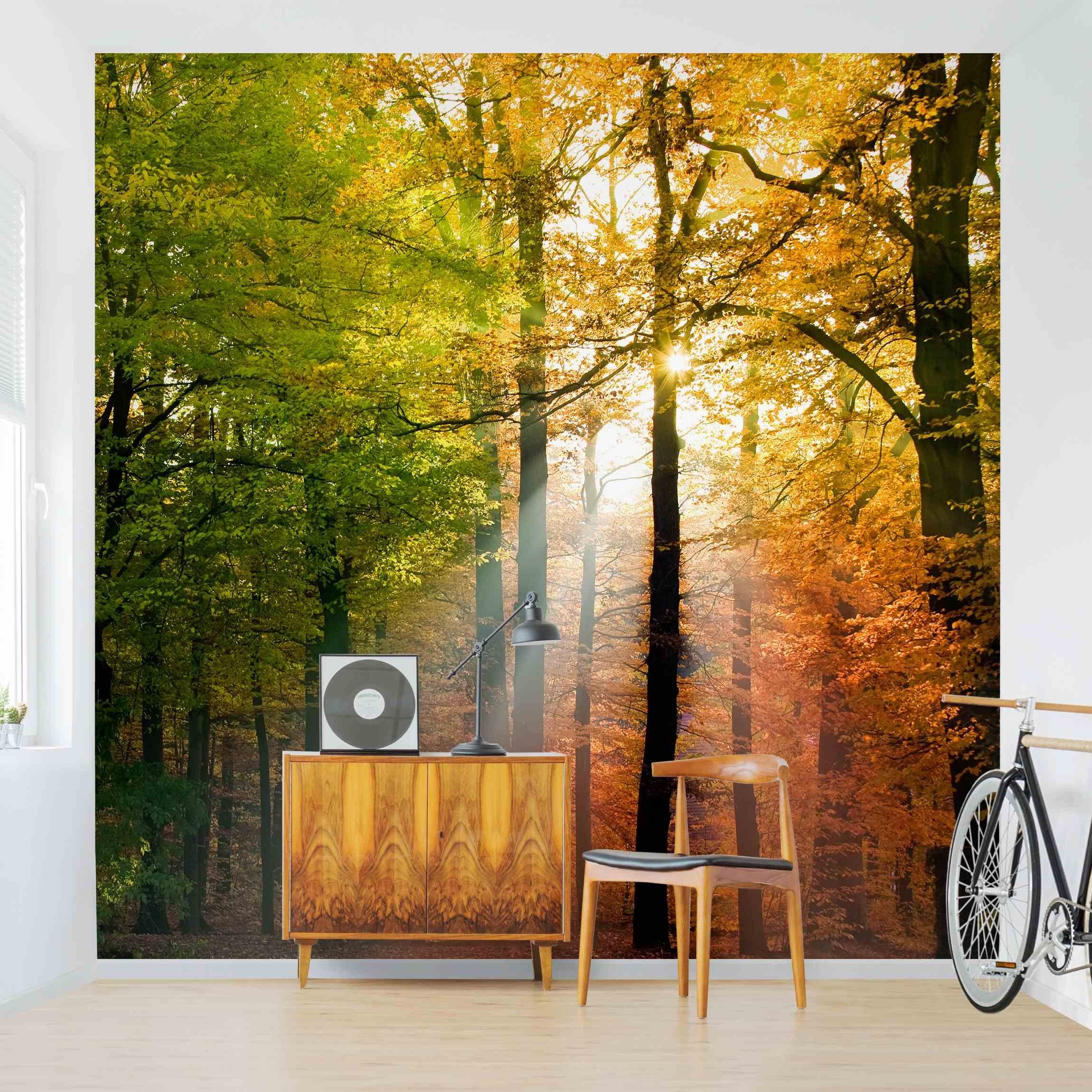 Bilderdepot24 Fototapete Wald Herbstwald Sonnenuntergang Rot Grün Natur Landschaft Waldtapete, Glatt, Matt, (Vliestapete inkl. Kleister oder selbstklebend), Wohnzimmer Schlafzimmer Küche Flur Motivtapete Vliestapete Wandtapete