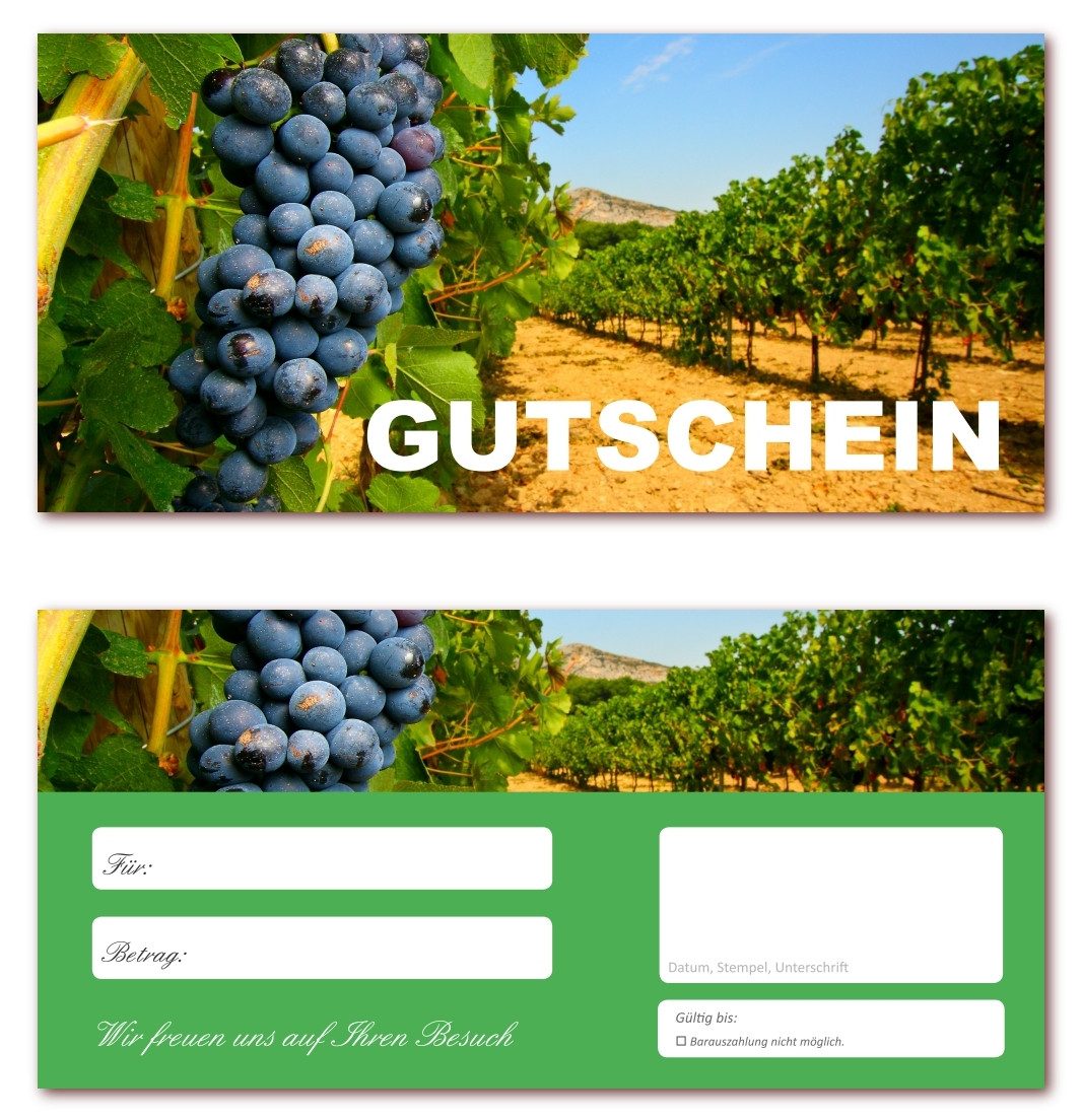 Gutschein Weingut im Sonnenschein ( Gastro-620 )