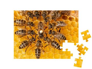puzzleYOU Puzzle Bienenkönigin umgeben von Arbeiterinnen, 48 Puzzleteile, puzzleYOU-Kollektionen Bienen
