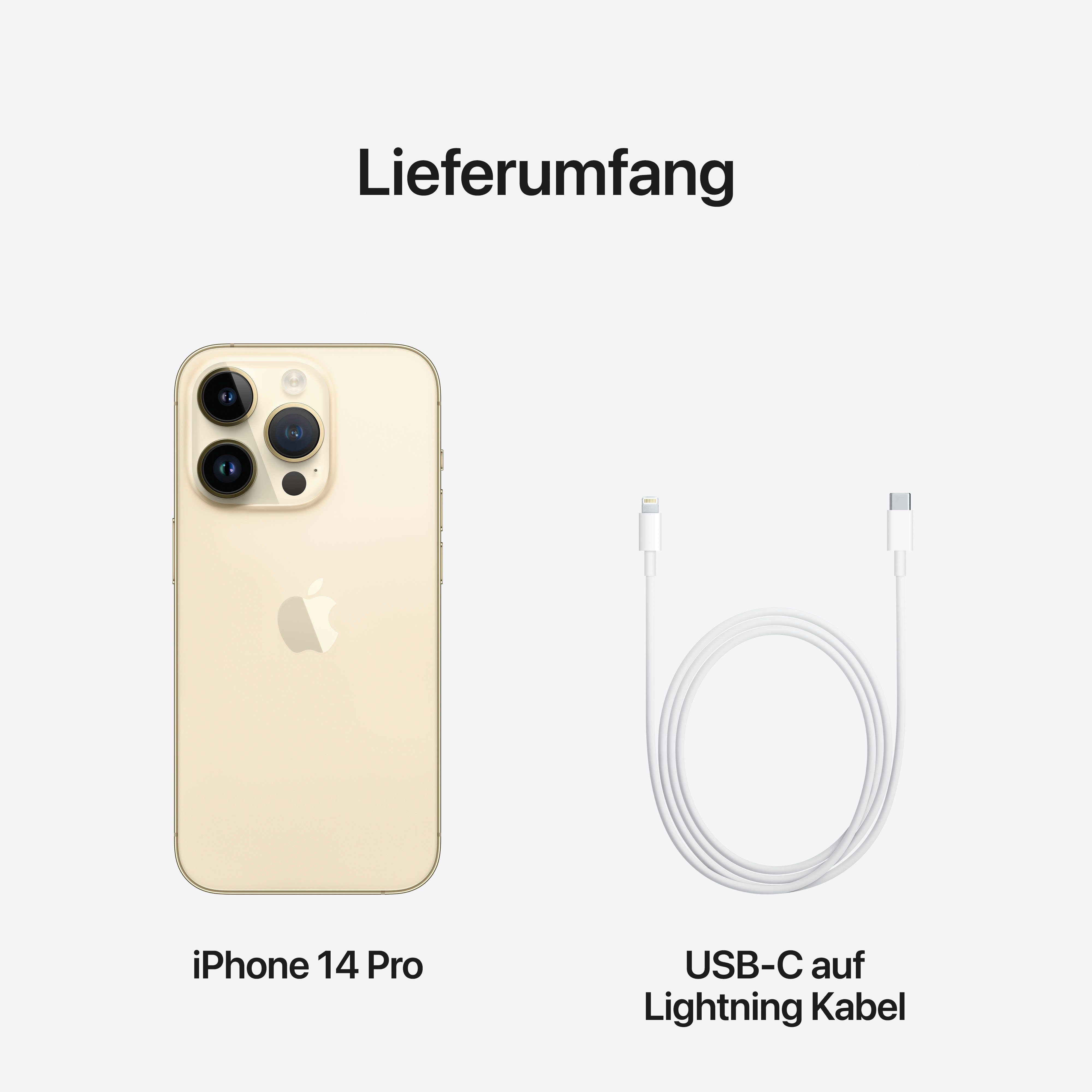 48 gold Kamera) 14 Pro 1024 Smartphone (15,5 Zoll, GB iPhone cm/6,1 Apple MP Speicherplatz, 1TB