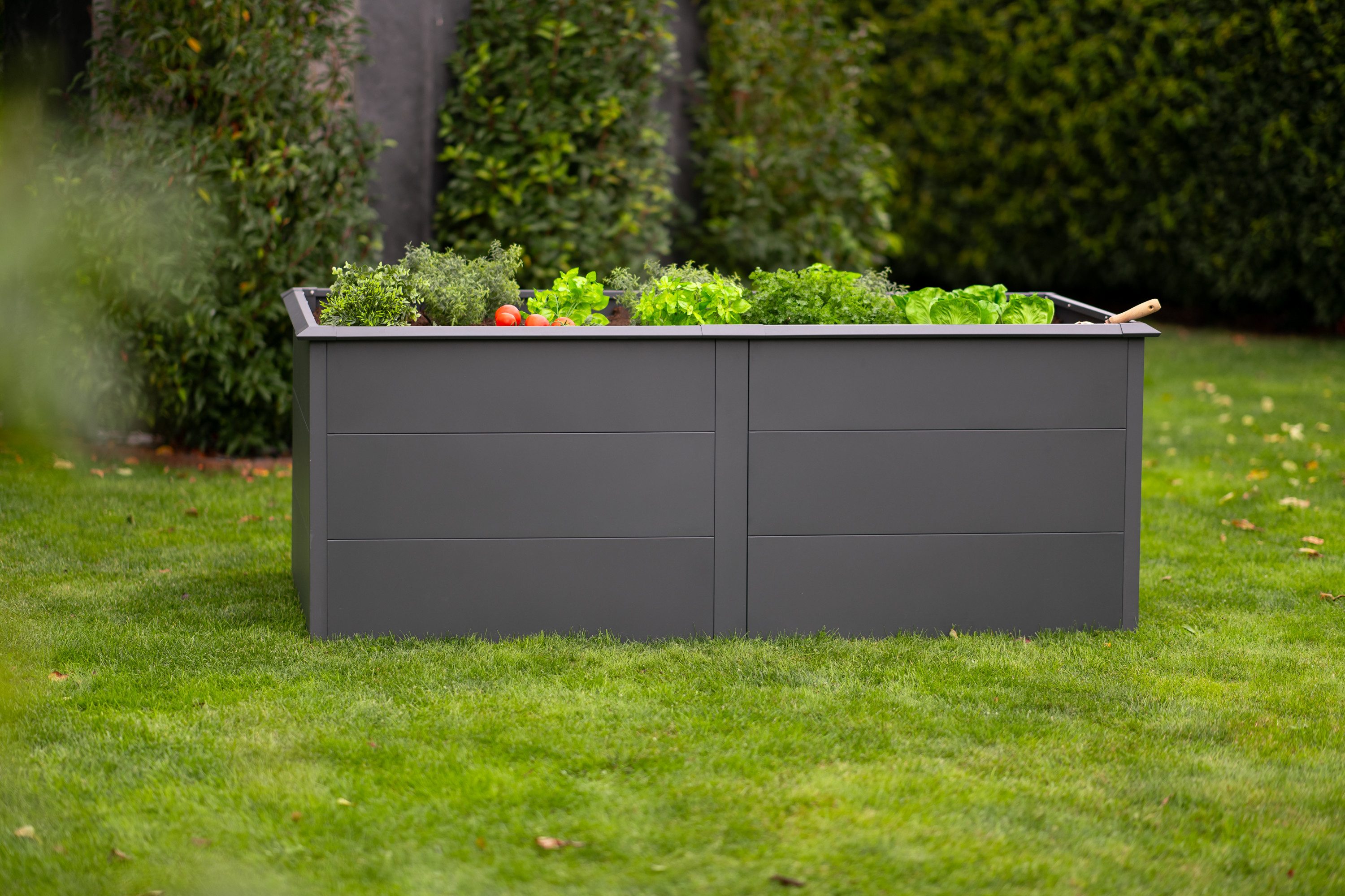 WESTMANN Hochbeet Metall Hochbeet Primus XL, Anthrazit, 200x100x77 cm