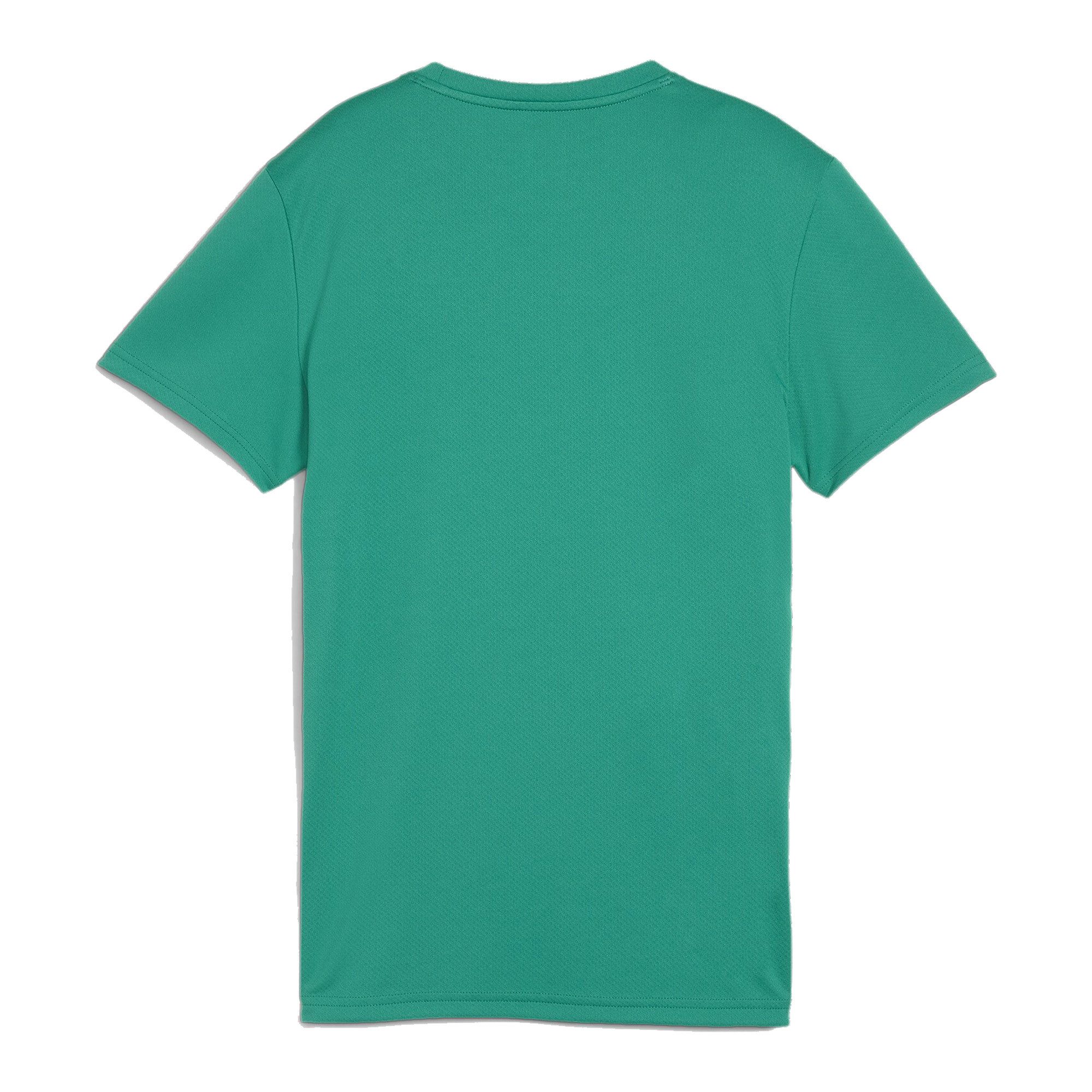 PUMA Fußballtrikot Puma Damen Trikot teamGOAL günstig online kaufen