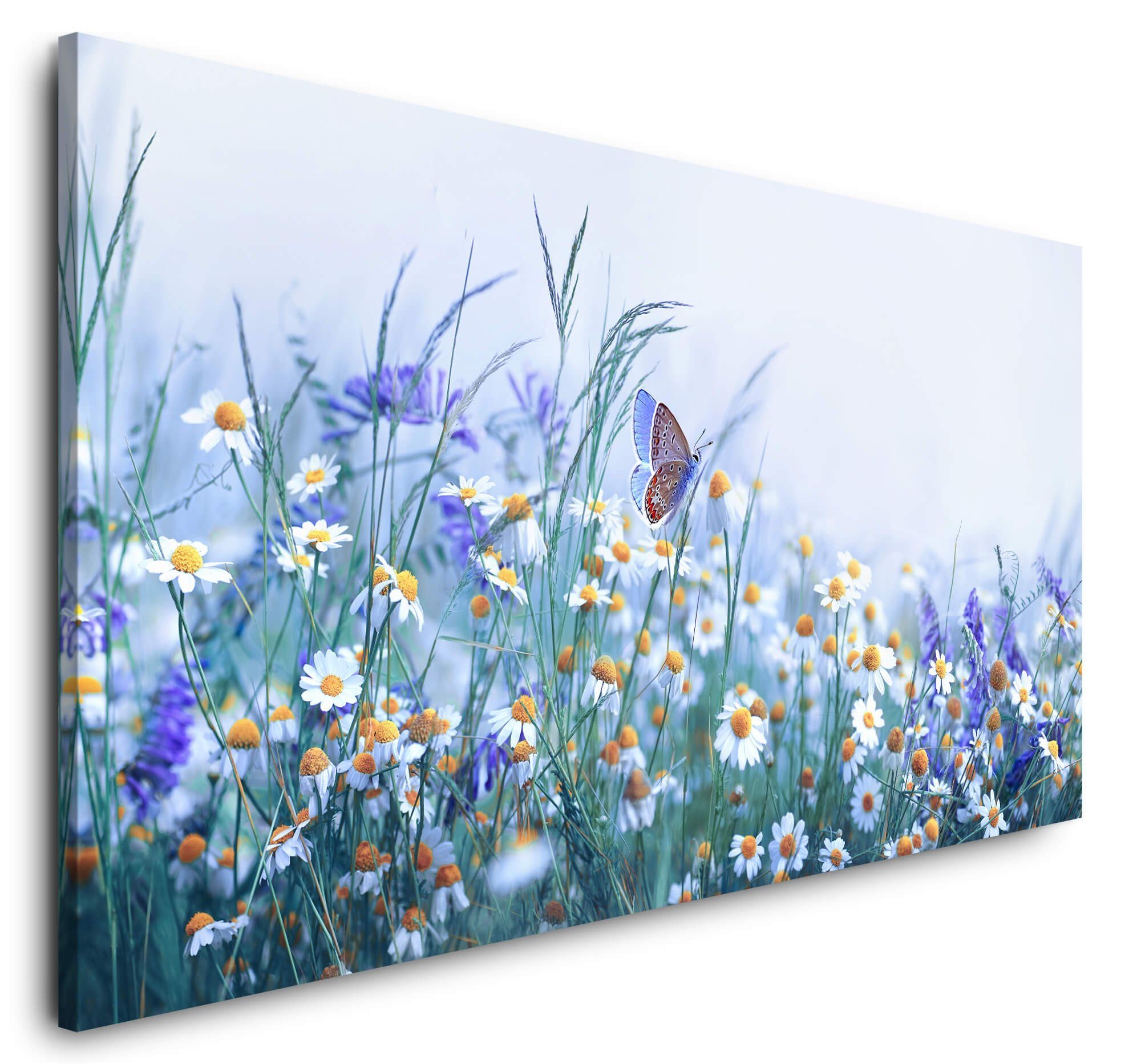 Sinus Art Leinwandbild, (1 St)