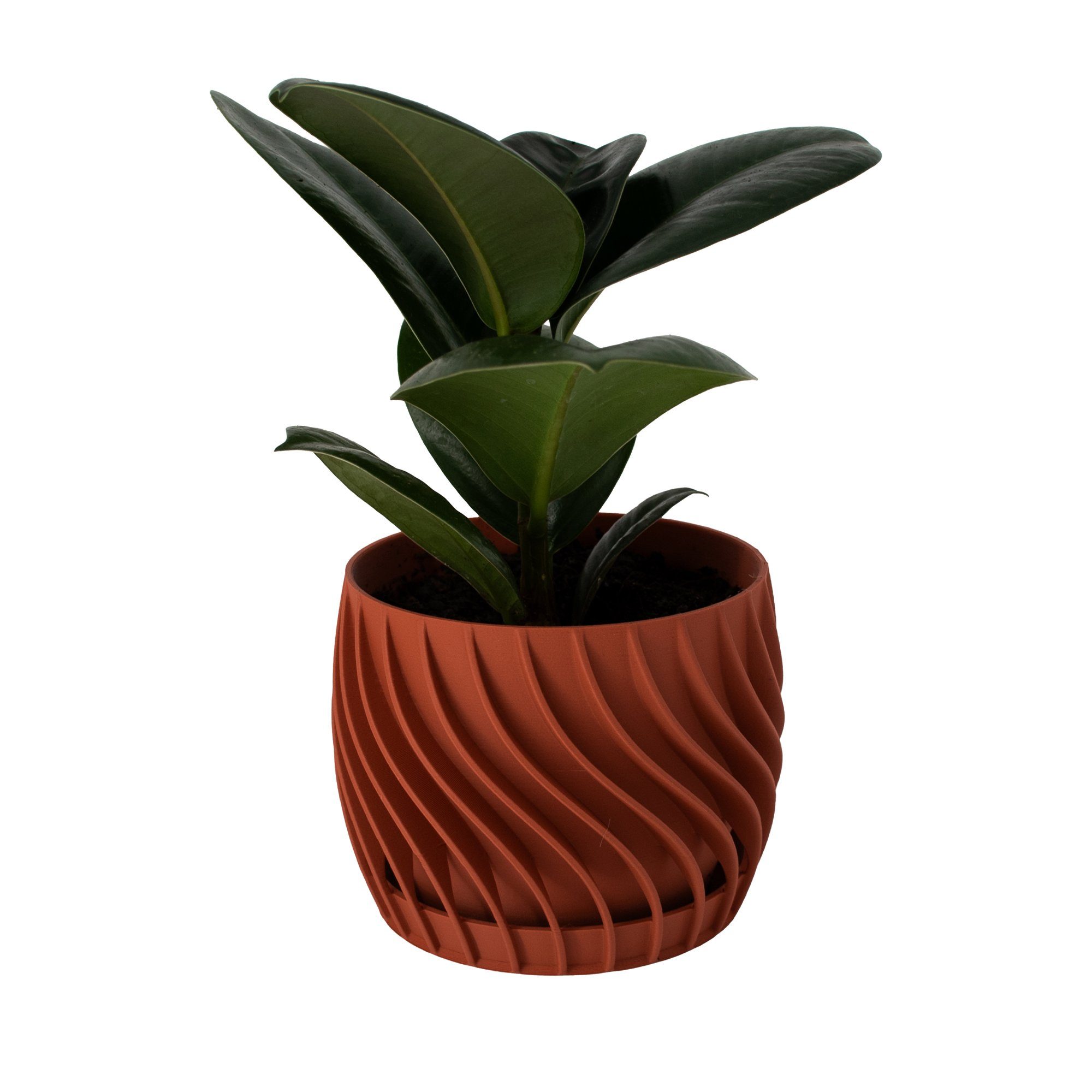 Shapes - Decorations Blumentopf The Plant Pot - Blumentopf mit integriertem Unterteller (Einzelmodell, 1 x Blumentopf mit integriertem Untersetzer), Spiraloptik