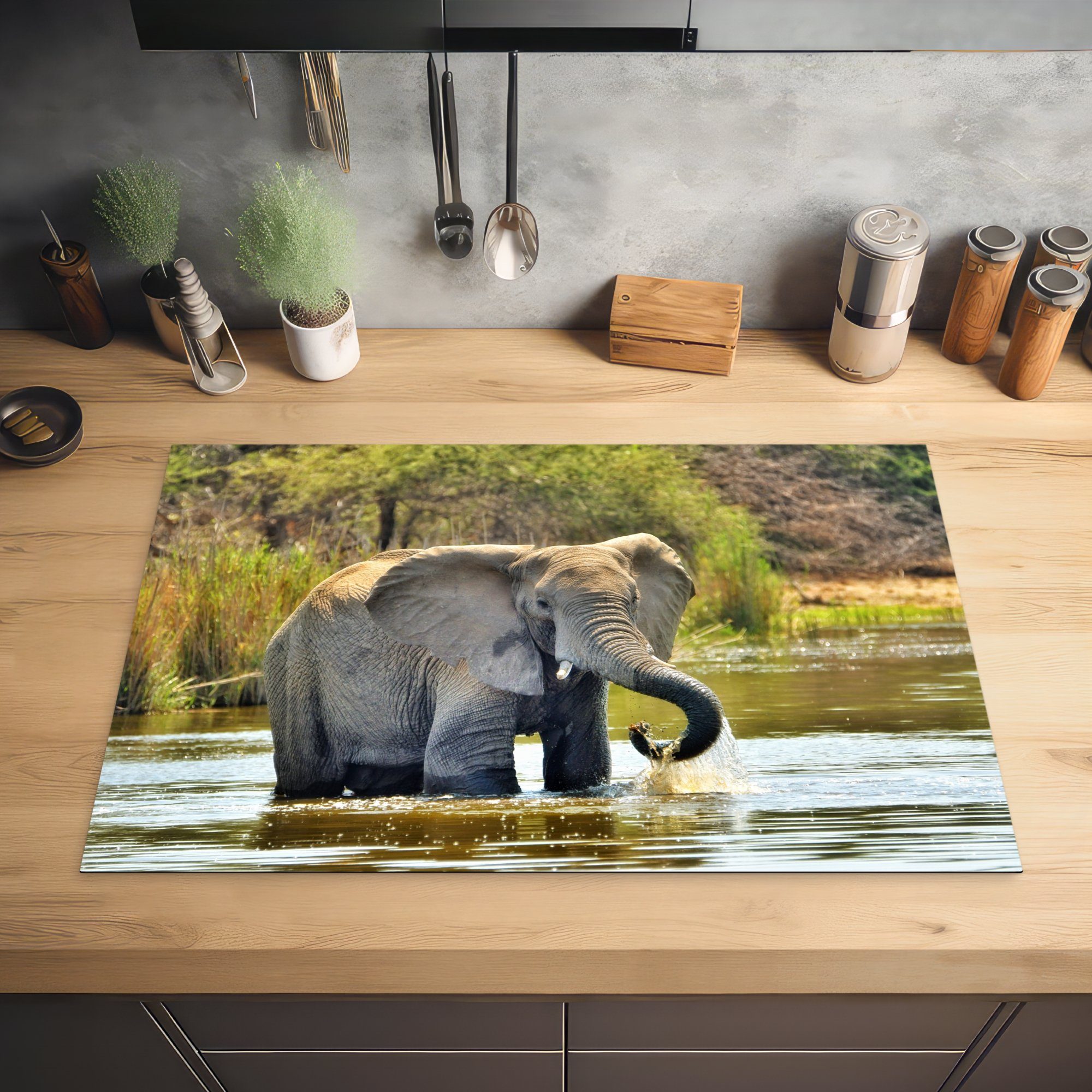 Natur, die Herdblende-/Abdeckplatte küche, Ceranfeldabdeckung - cm, Wasser Elefant - MuchoWow - für Vinyl, Tiere Schutz tlg), (1 Induktionskochfeld 81x52