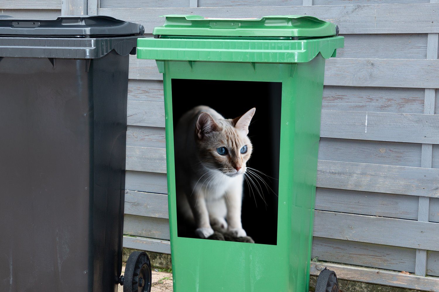 Mülleimer-aufkleber, Container, Wandsticker MuchoWow Abfalbehälter mit leuchtenden St), (1 Augen Sticker, Mülltonne, Katze
