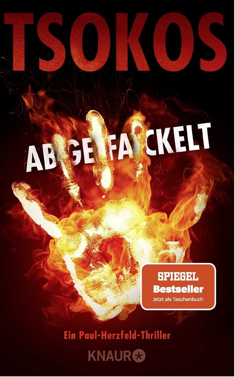 Belletristik Abgefackelt True-Crime-Thriller, Der SPIEGEL-Bestseller jetzt als Tas Michael Tsokos