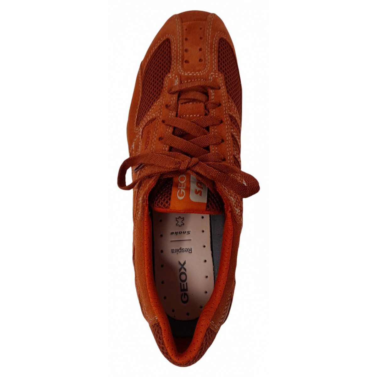 Geox Snake Schnürschuh günstig online kaufen