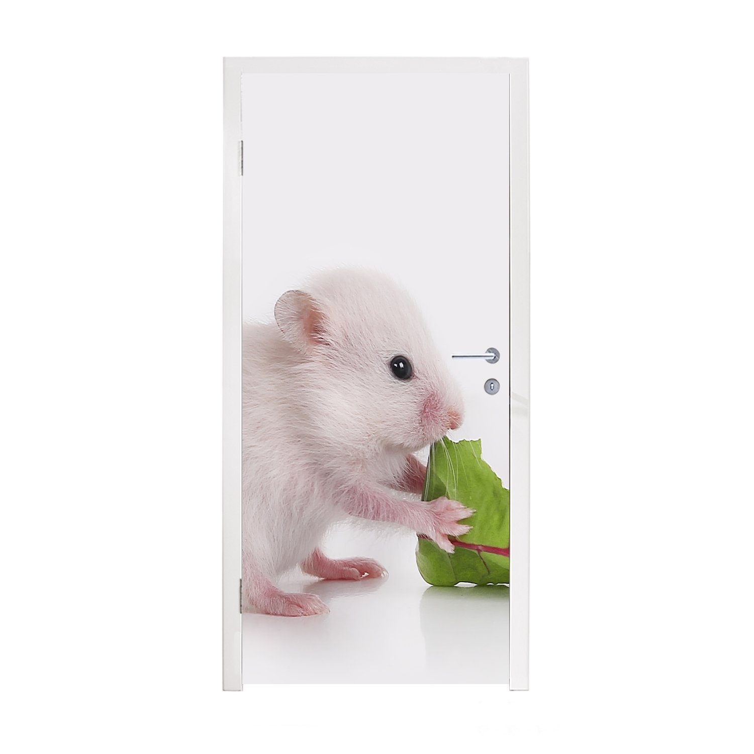 MuchoWow Türtapete Fressendes Hamsterbaby, Matt, bedruckt, (1 St), Fototapete für Tür, Türaufkleber, 75x205 cm