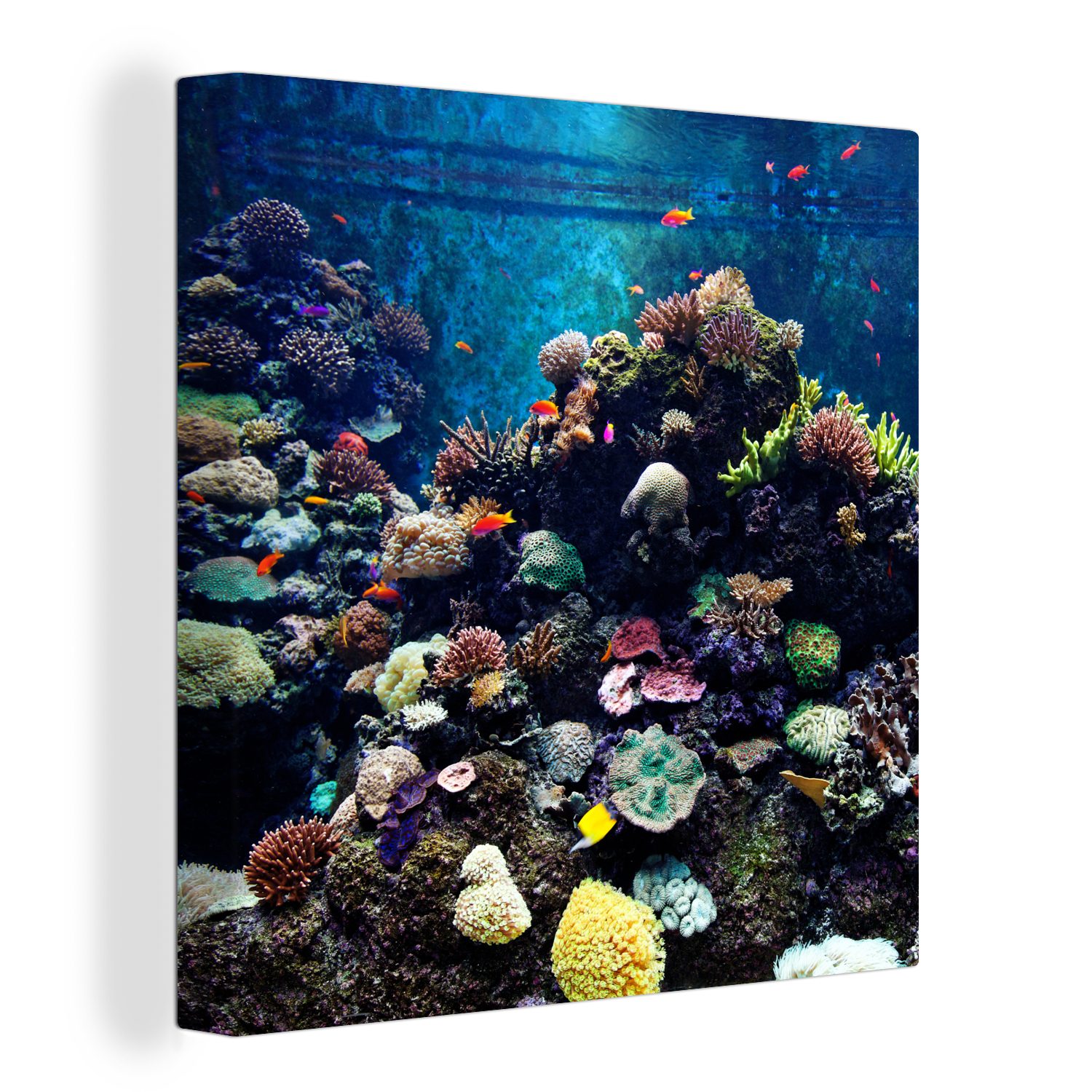 OneMillionCanvasses® Leinwandbild Aquarium mit tropischen Fischen und Korallen, (1 St), Leinwand Bilder für Wohnzimmer Schlafzimmer