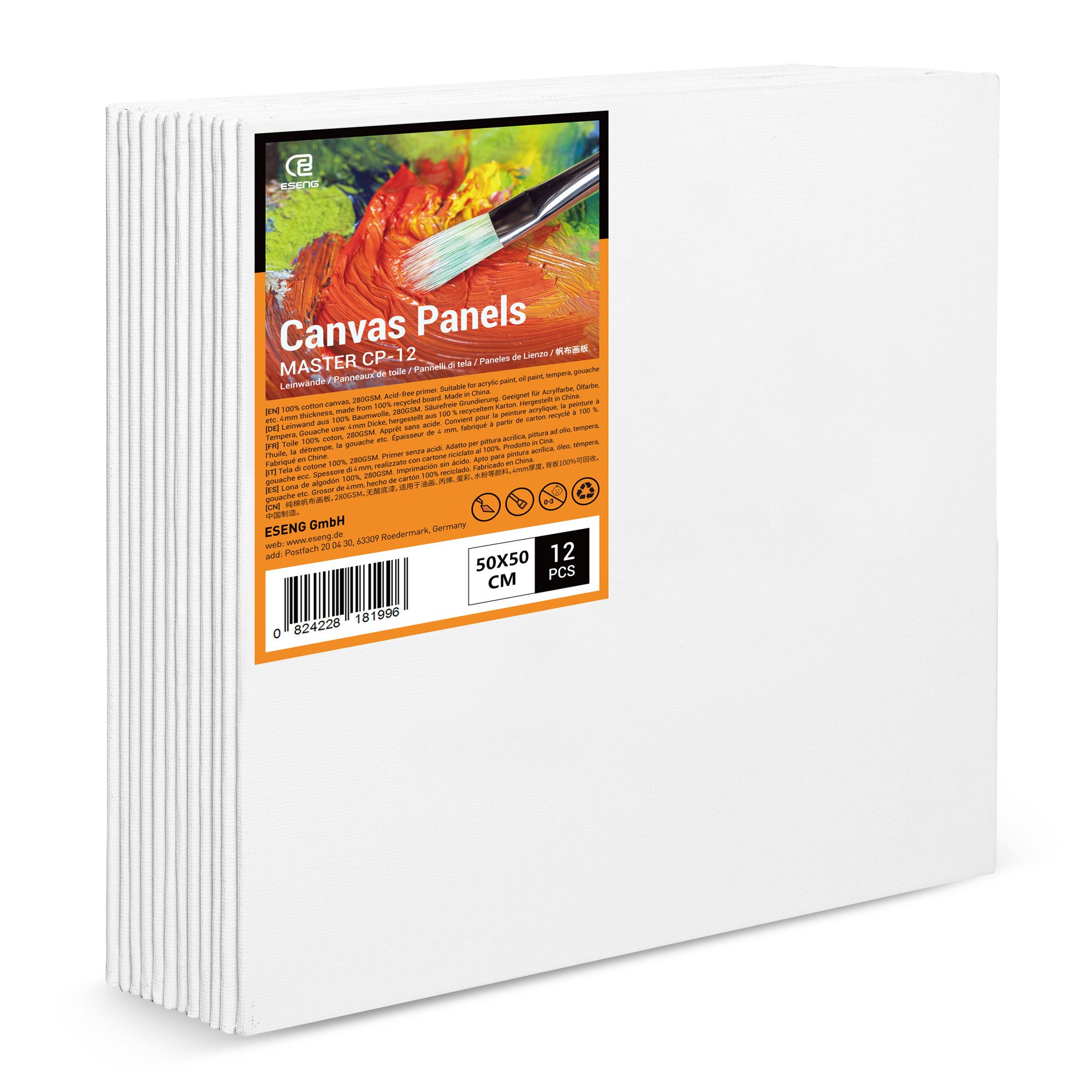 ESENG Leinwand zum bemalen groß, MASTER CP-12, 100% Baumwolle, 4mm dick